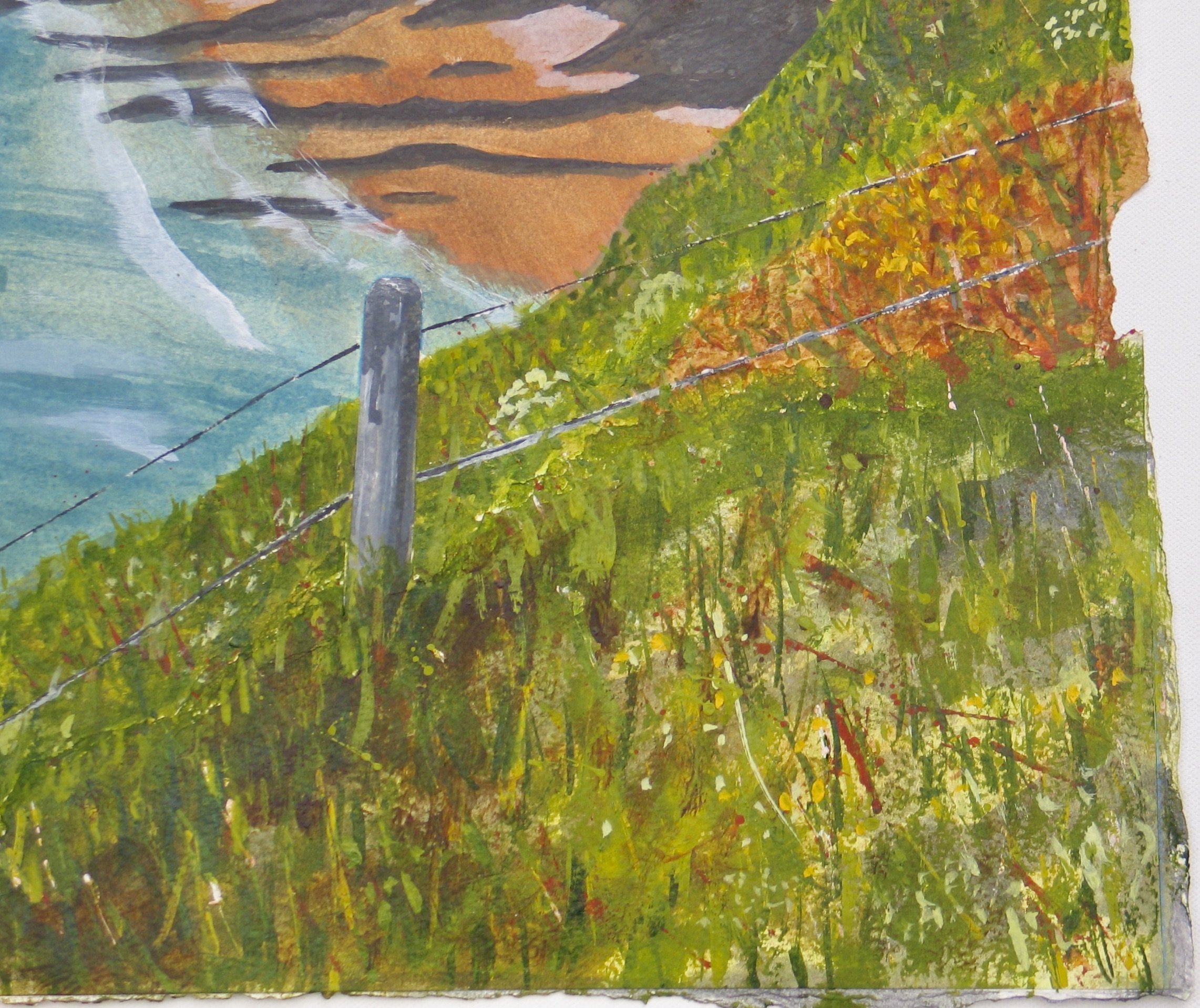 Pembrokeshire coastal path at Traeth Llyfn, detail