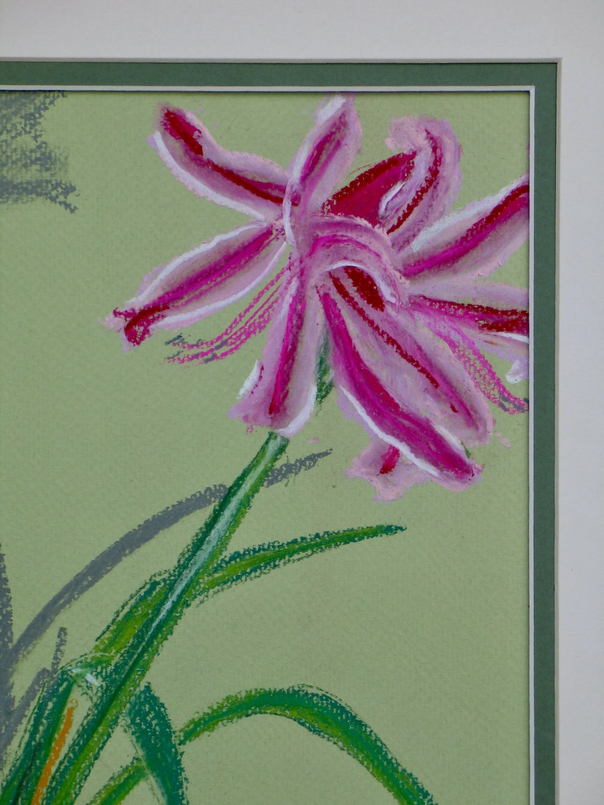 Magenta lily in pastel by Cy Pawsey, detail