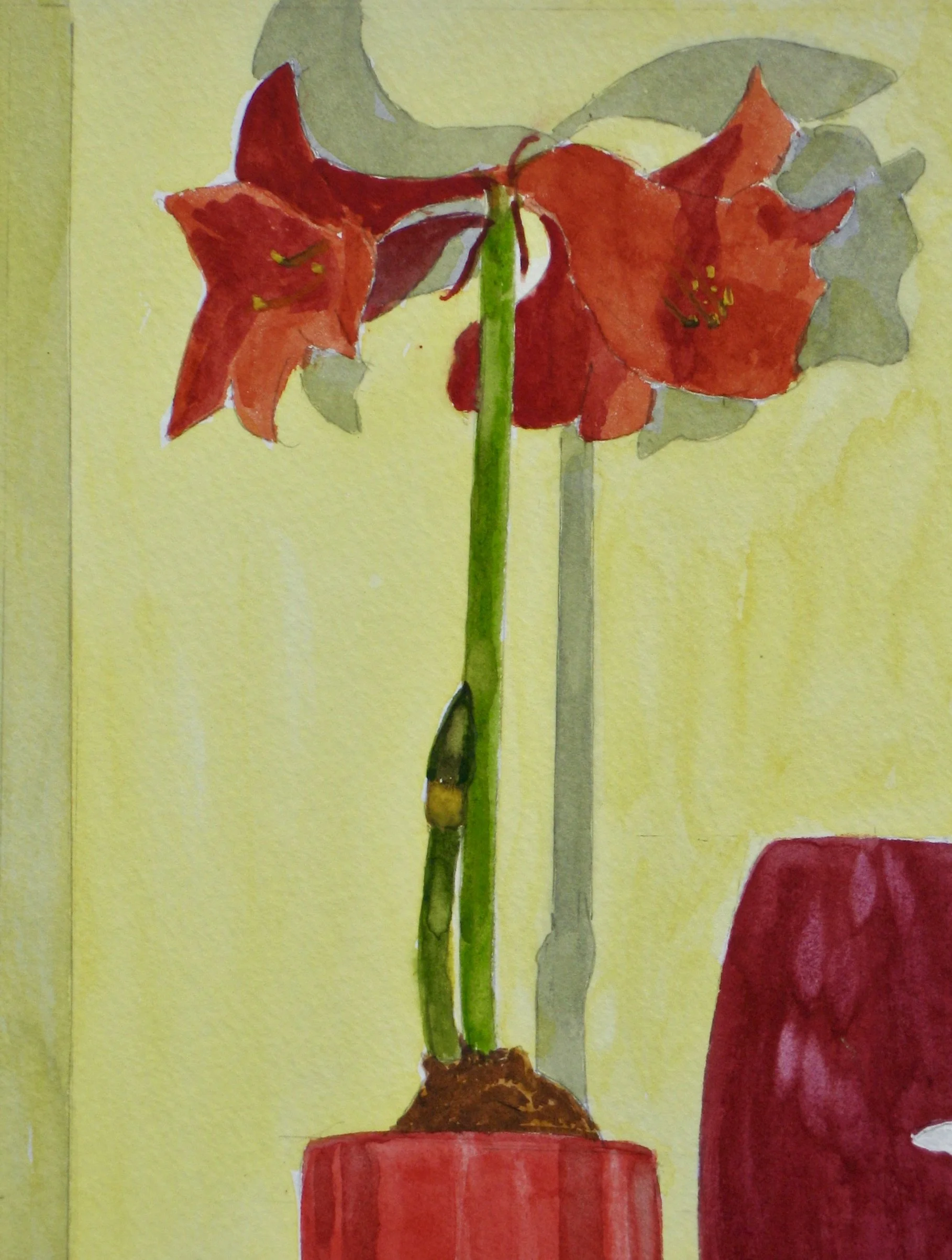Amaryllis on a mantelpiece, watercolour study by Cy Pawsey