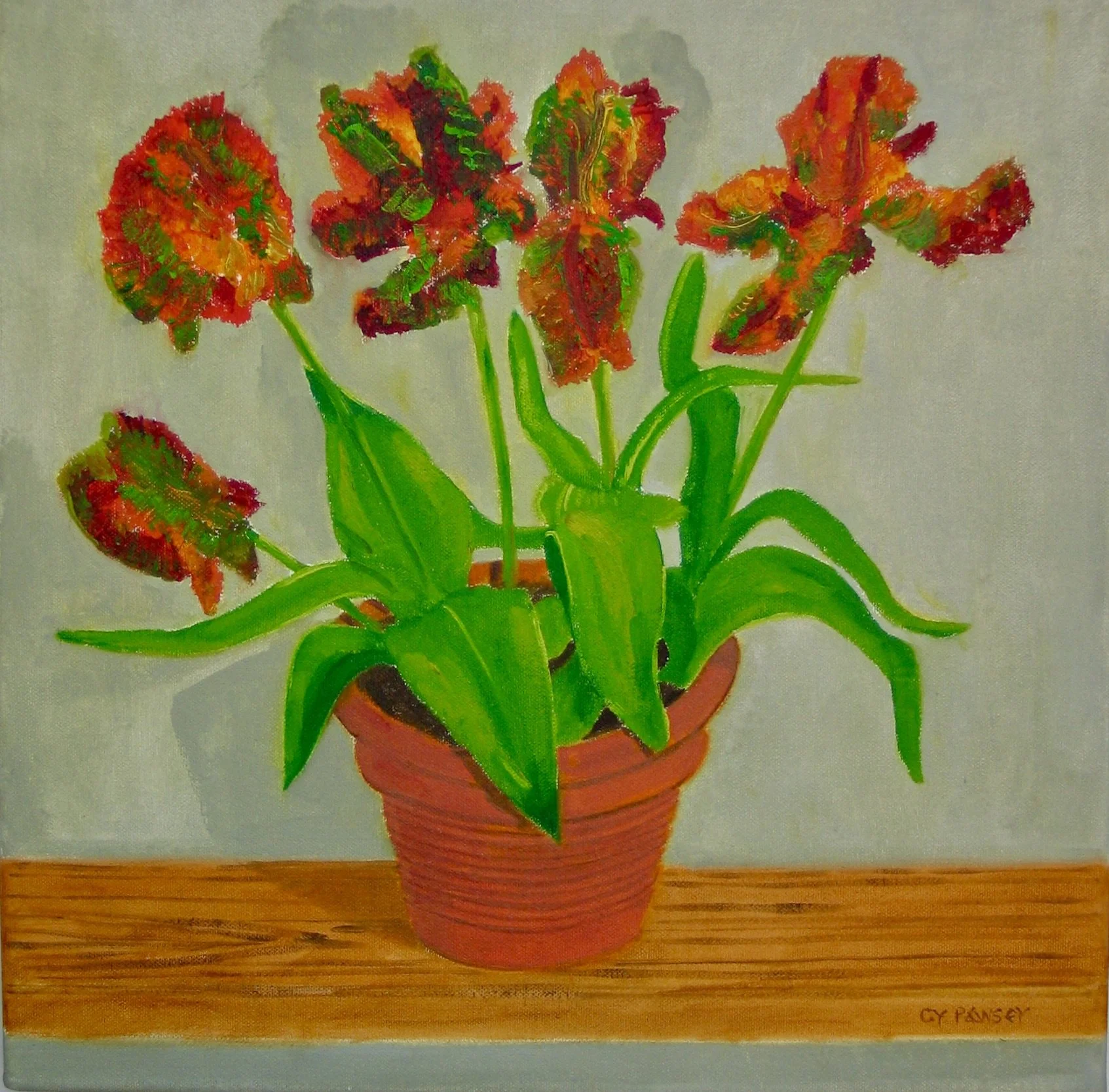 Tulips in a garden pot by Cy Pawsey for sale at galeriecy