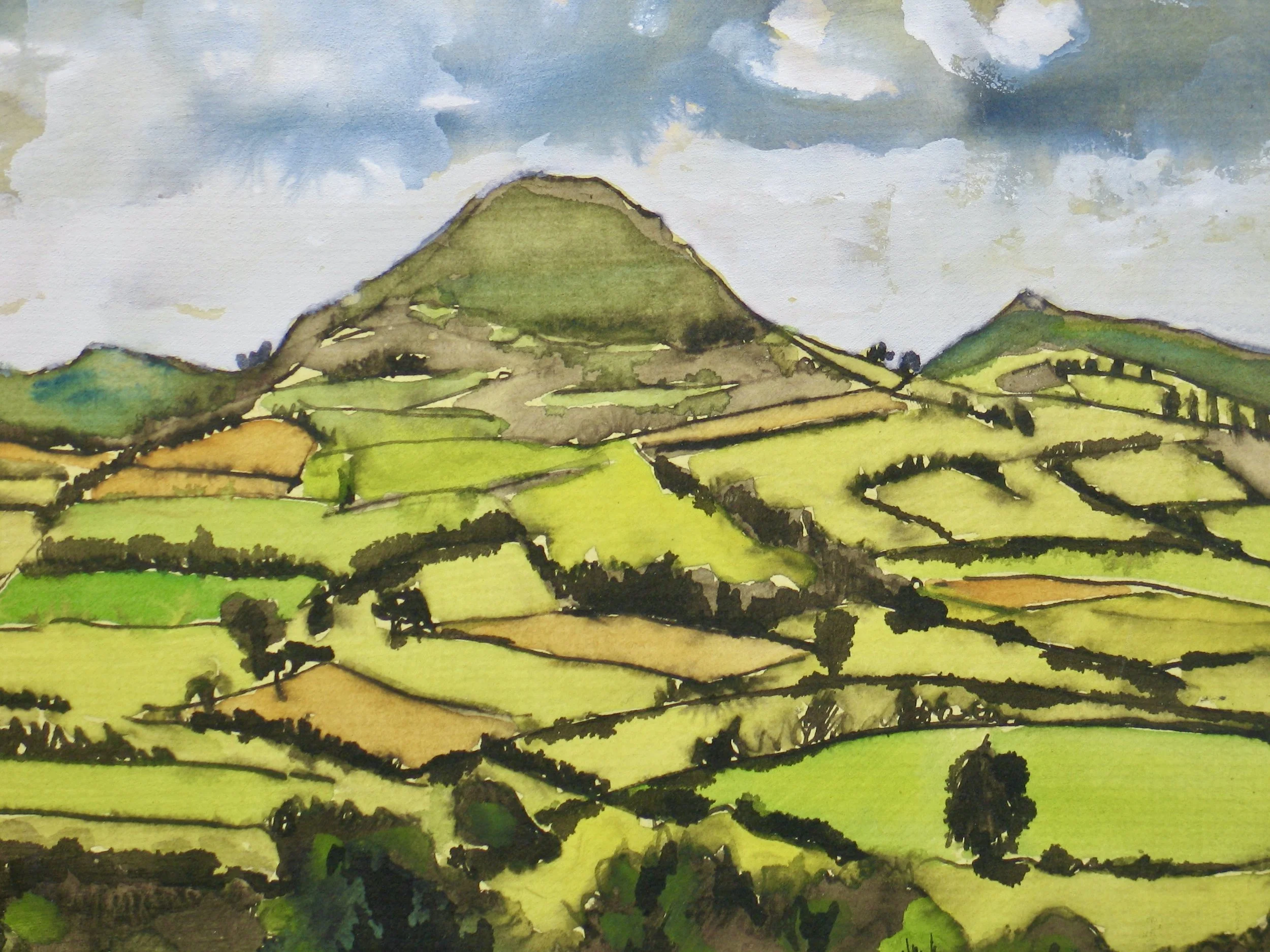 View from Bronllys towards the Brecon Beacons, detail