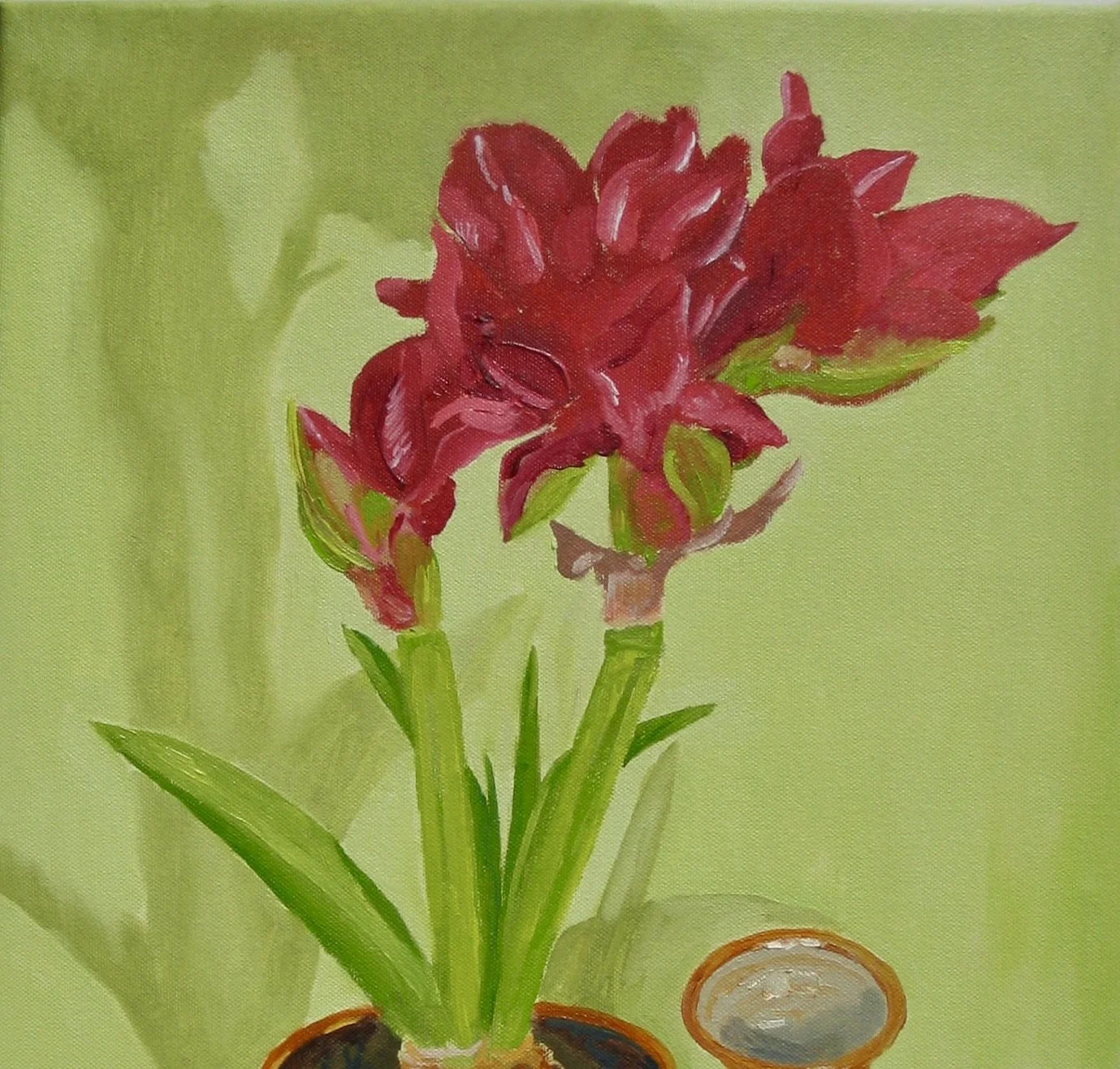 Amaryllis painted by Cy Pawsey for sale