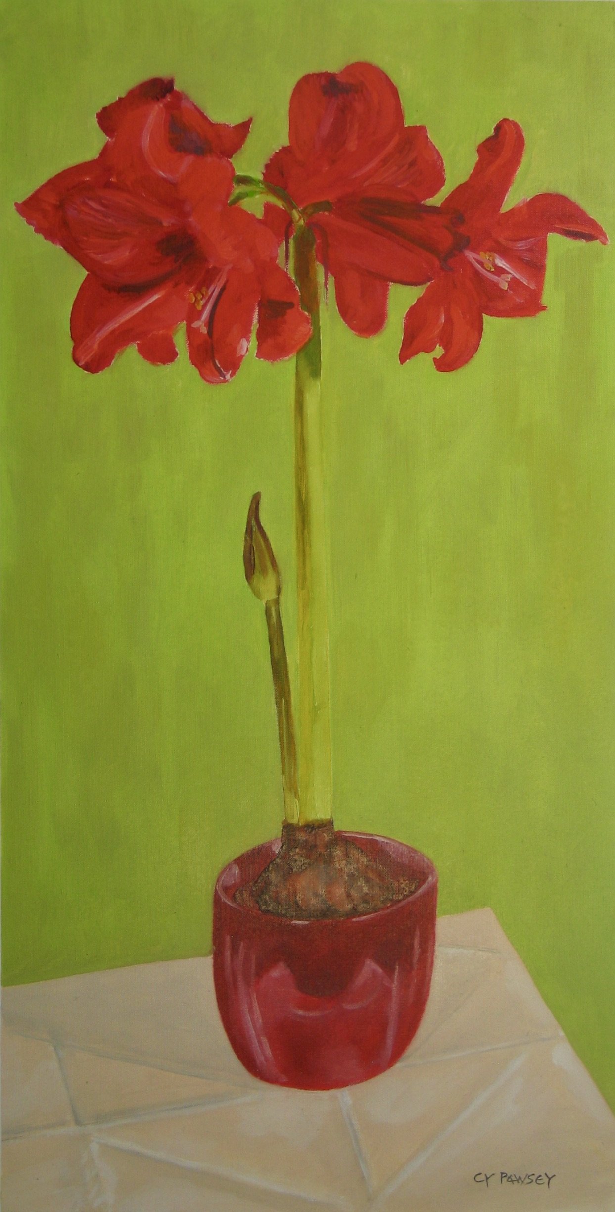 Amaryllis in a pot oil painting by Cy Pawsey