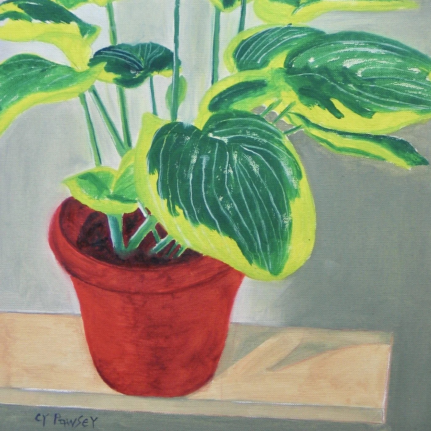 Hosta with white flowers, oil painting by Cy Pawsey