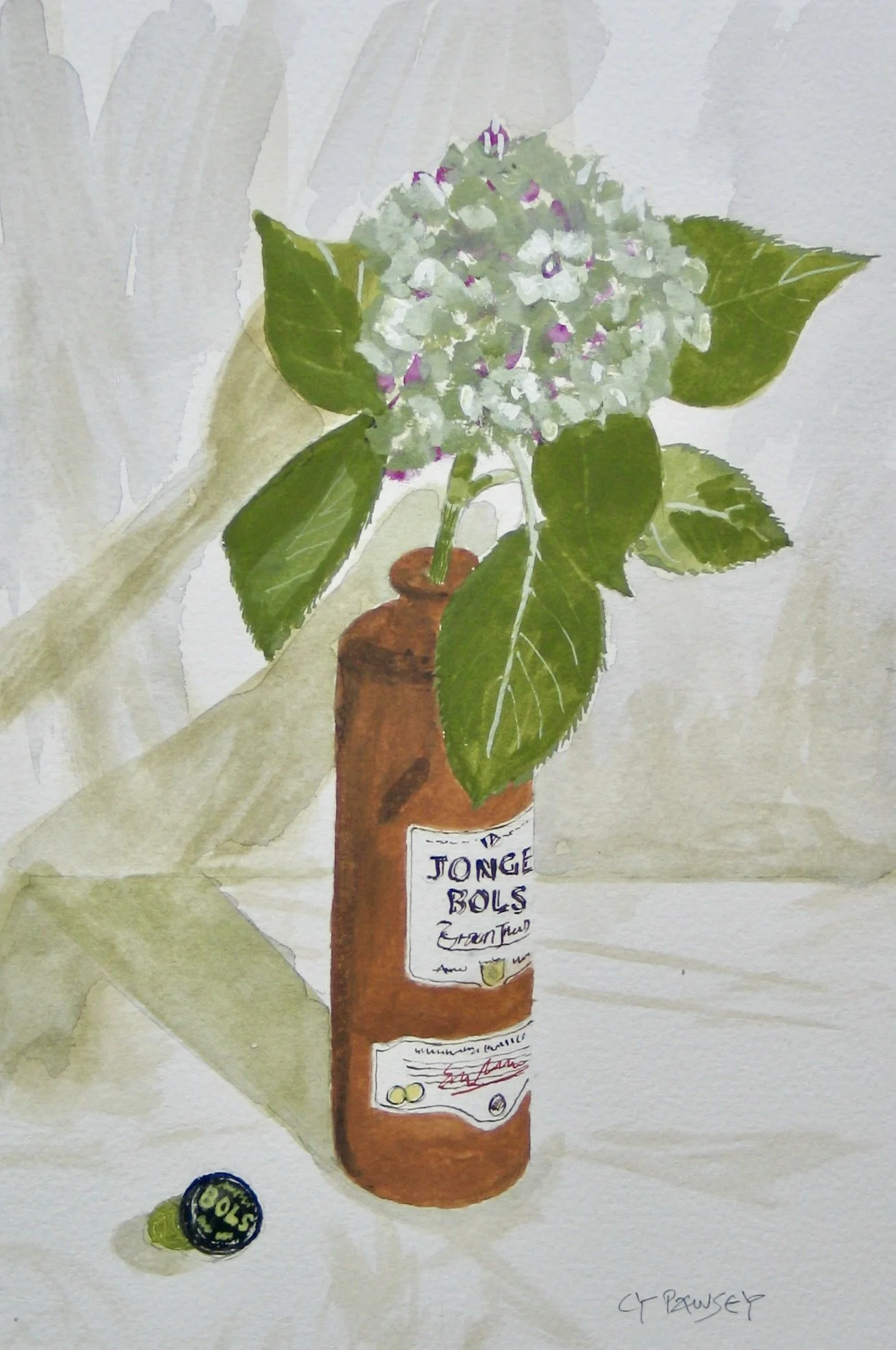 Original sketch of a hydrangea flower in a BOLS bottle by Cy Pawsey
