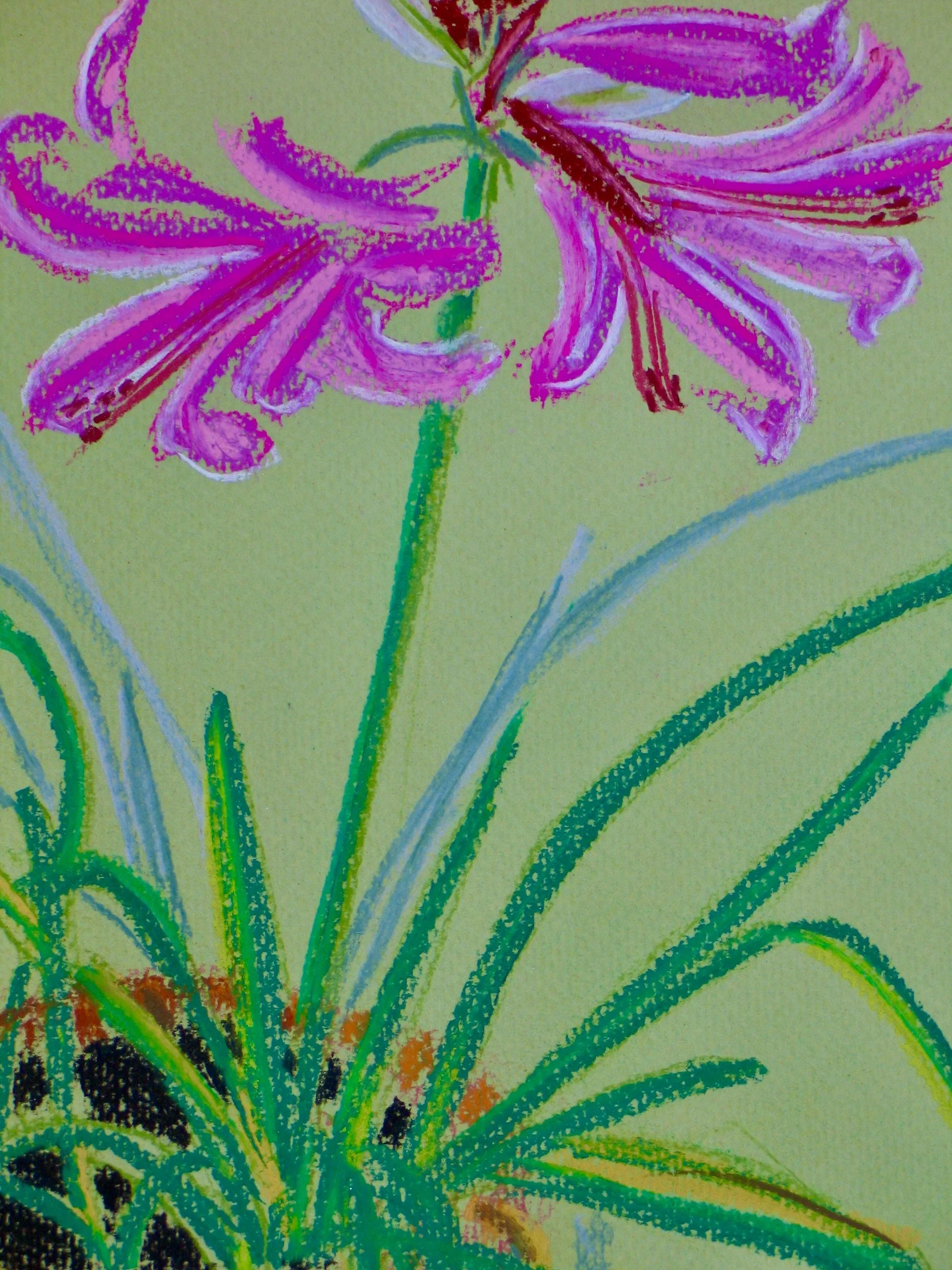 Original pastel art by Cy Pawsey, detail