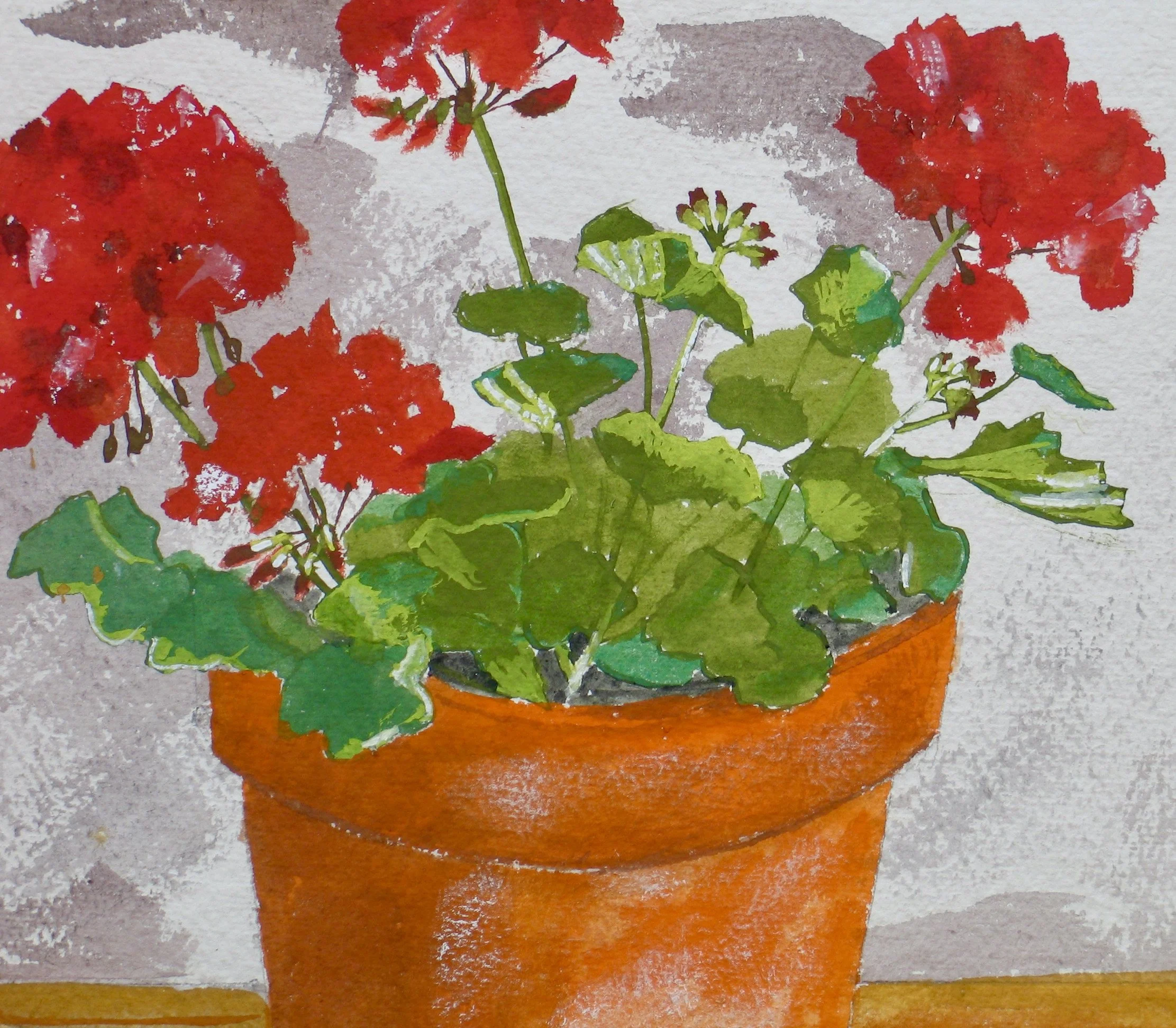 Geraniums grown and painted by Cy Pawsey