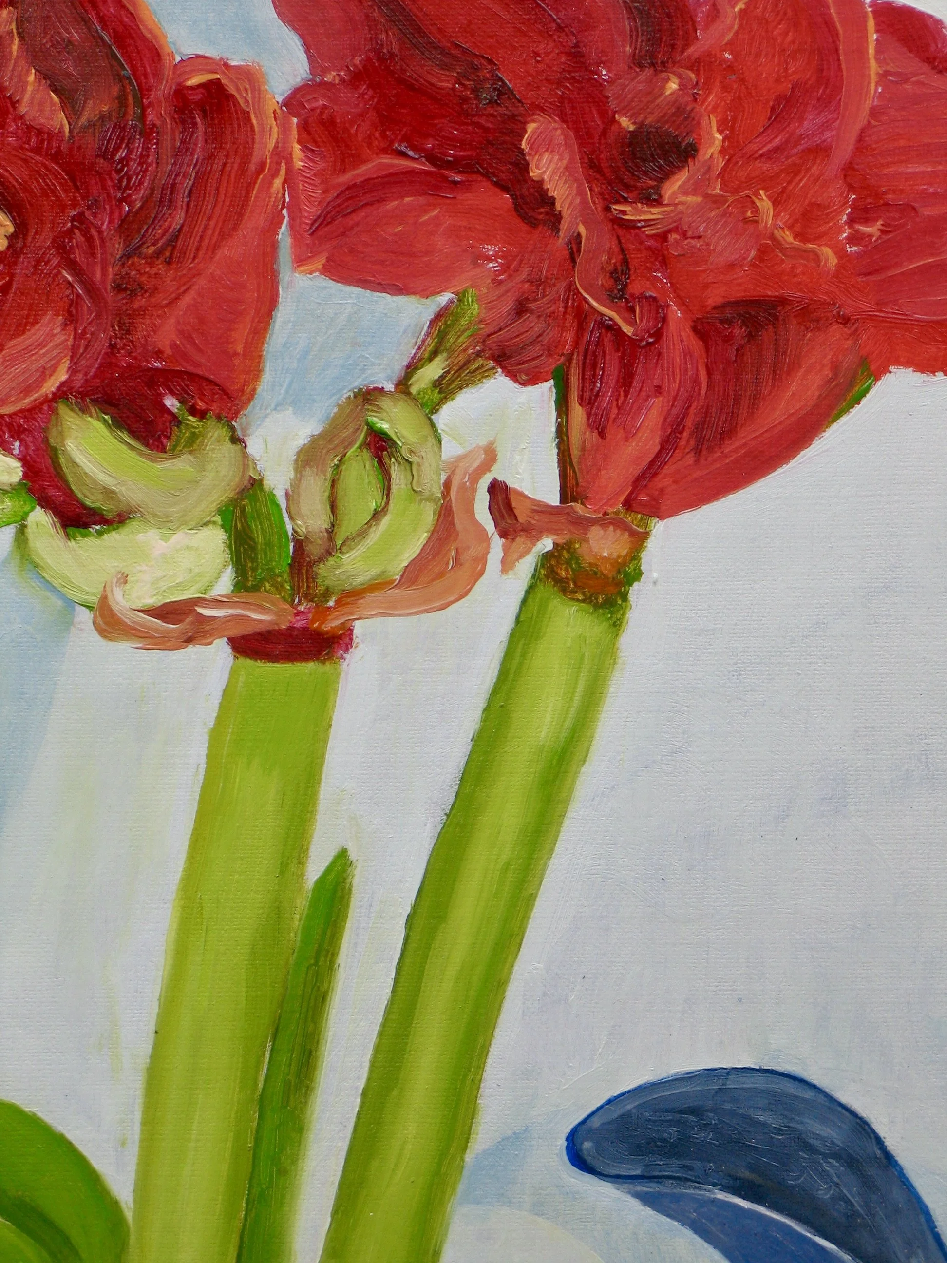 Flowering amaryllis oil painting, detail