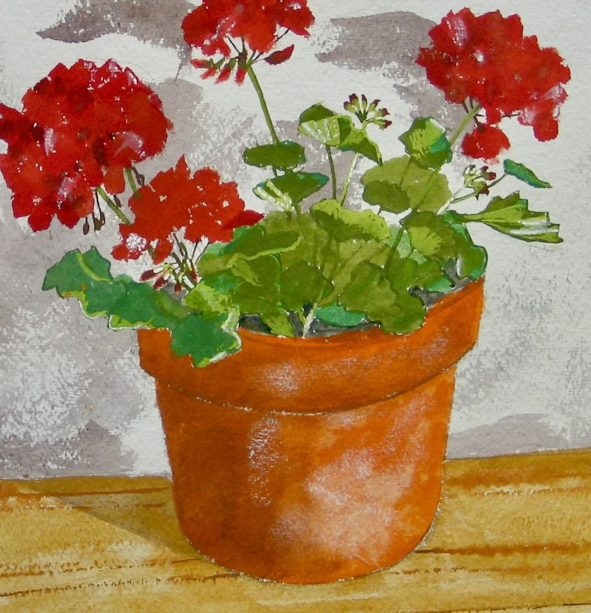 Terracotta pot with geraniums from galeriecy.com