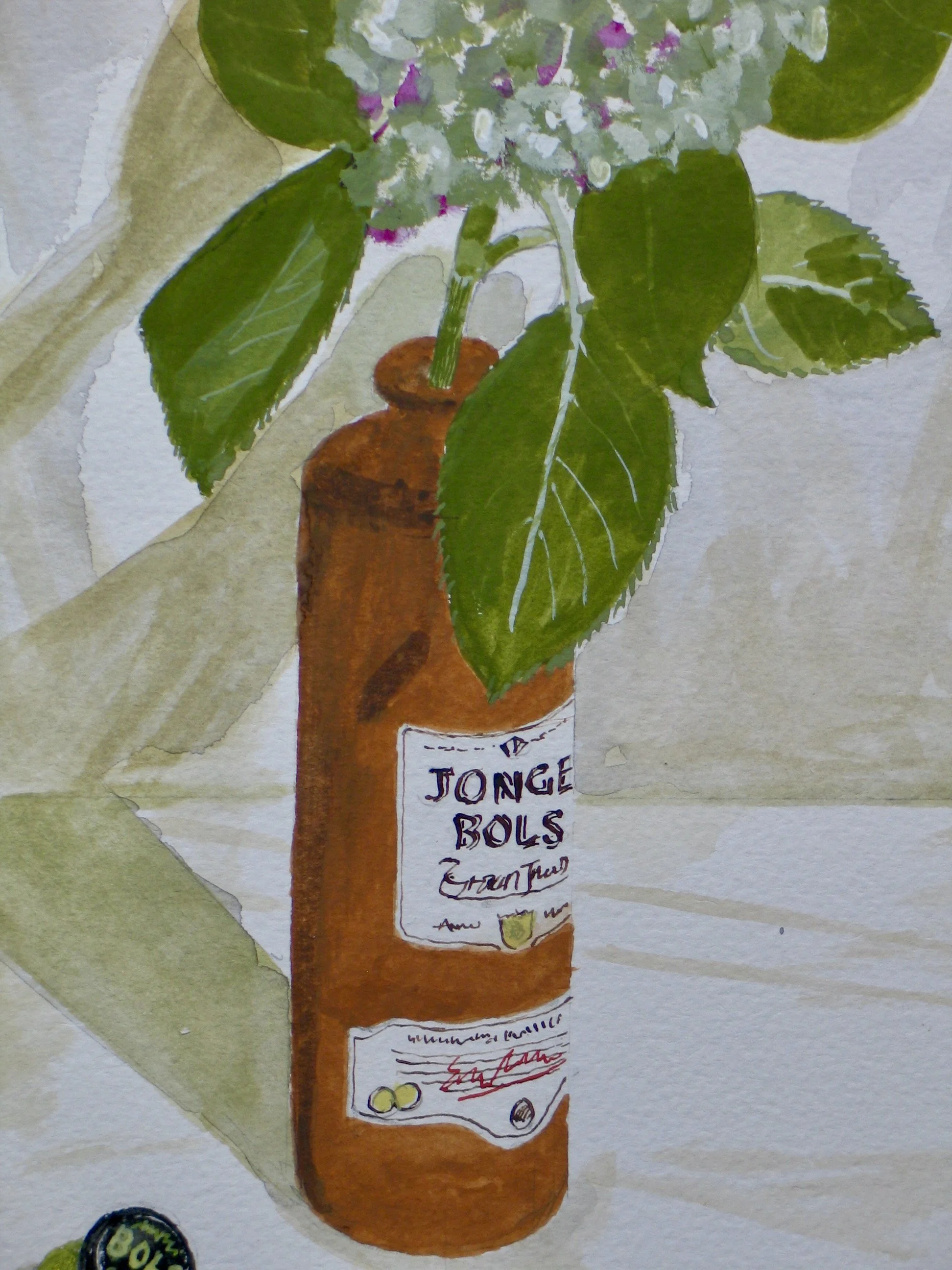 BOLS bottle with hydrangea stem - watercolour painting