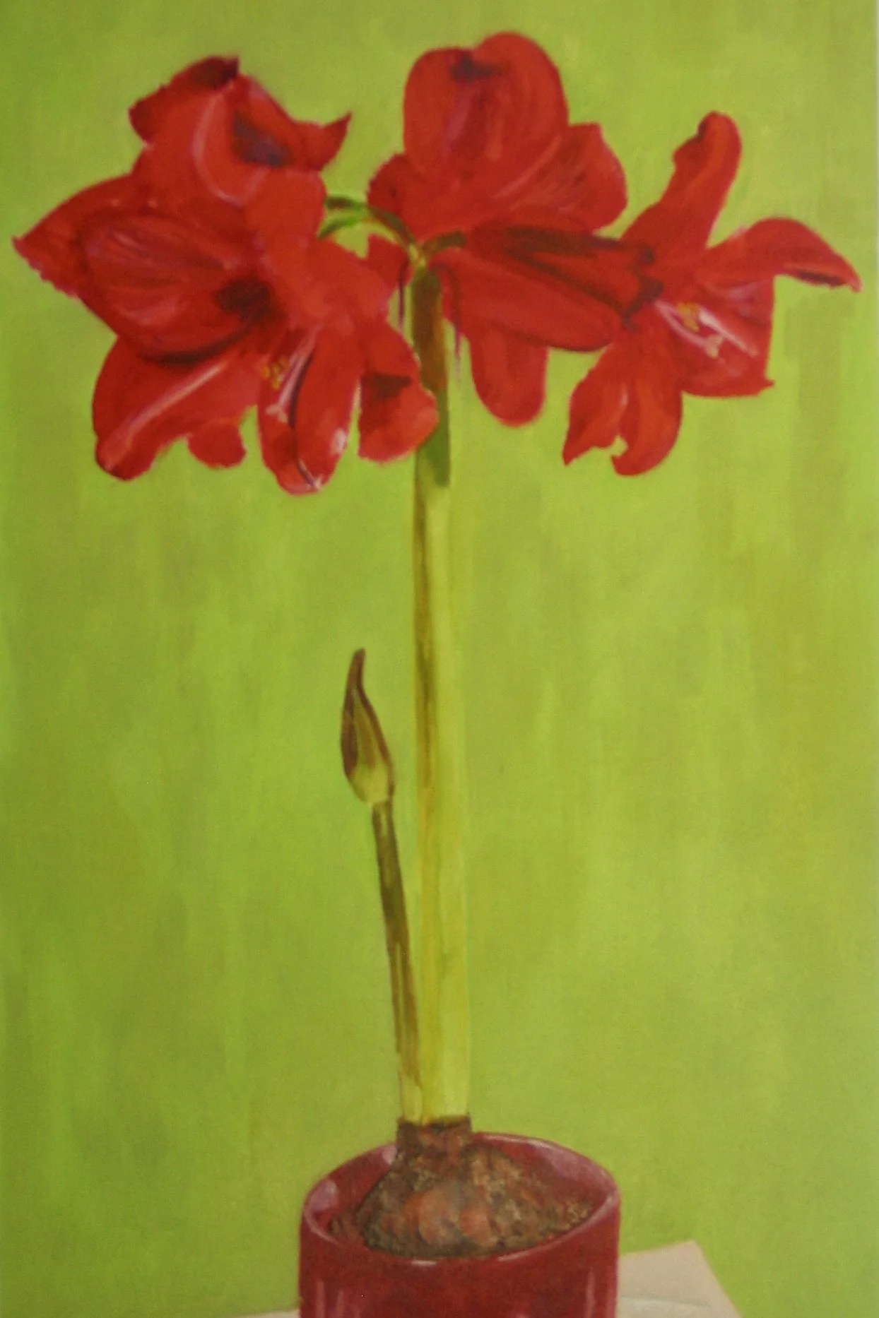 Red amaryllis oil painting for sale