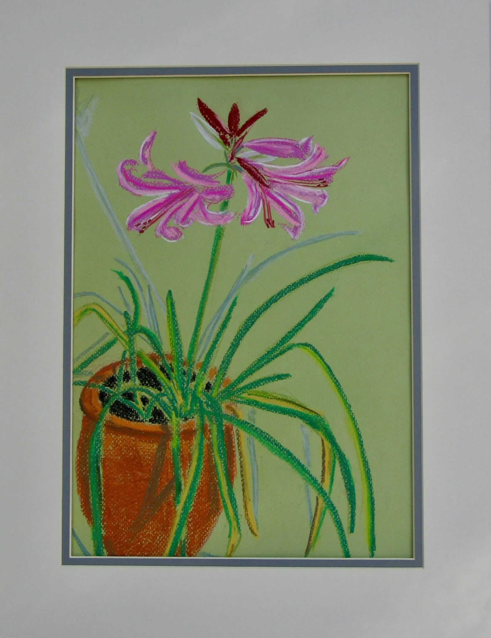 Pastel painting of a lily in a pot from galeriecy.com