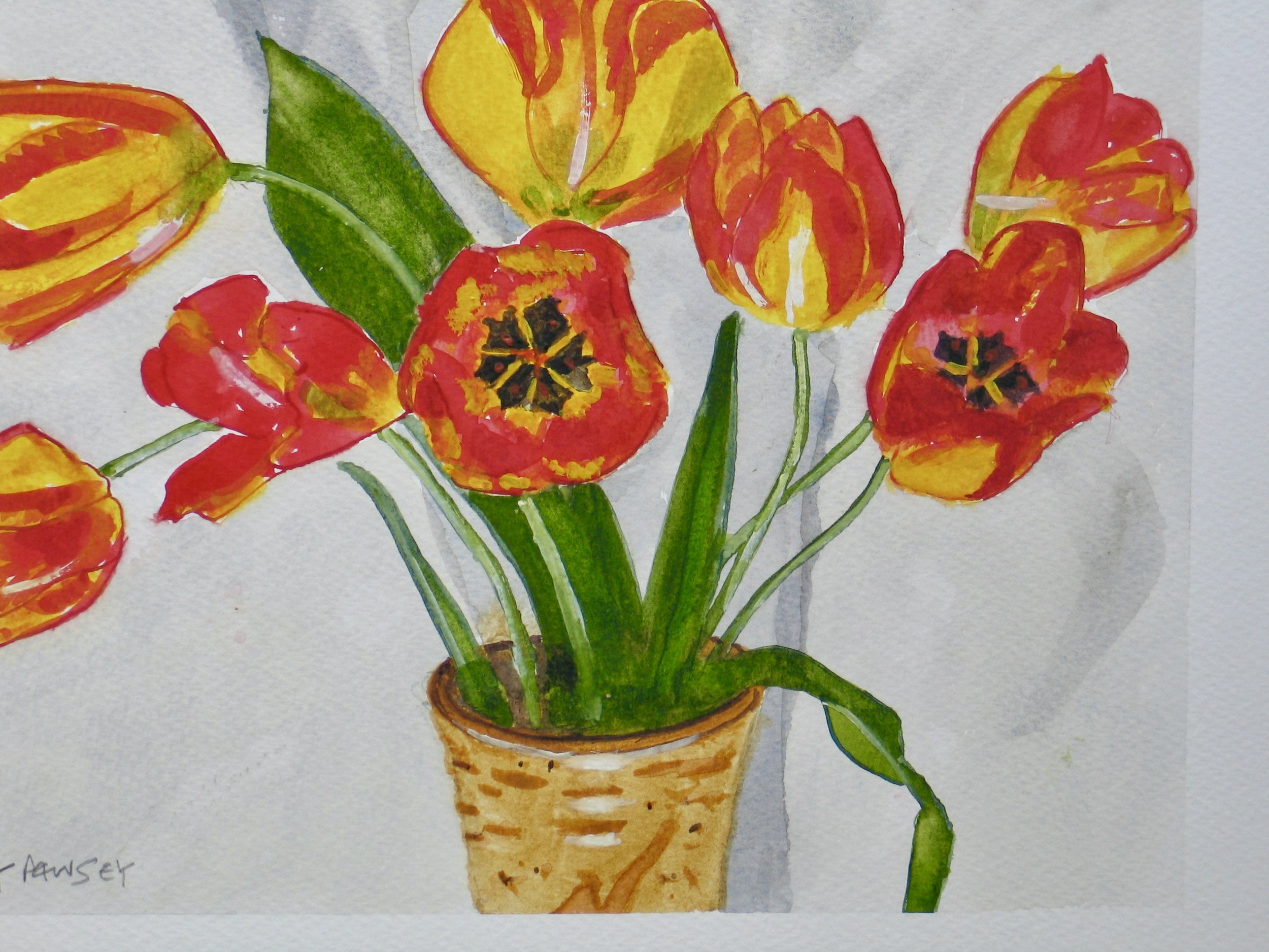 Tulip blooms in watercolour by Cy Pawsey at galeriecy.com