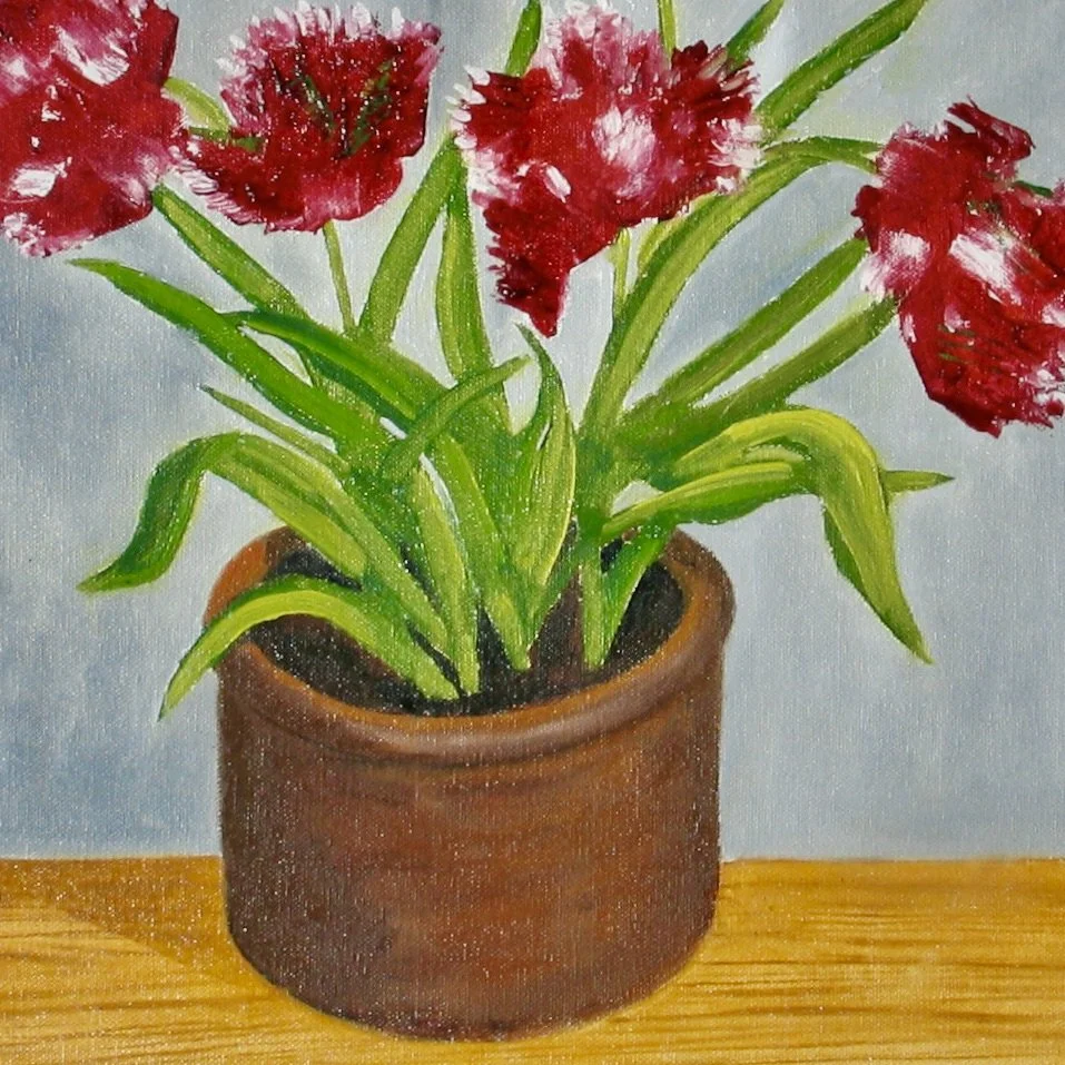 Tulips Estella Rijnveld in a garden pot, detail