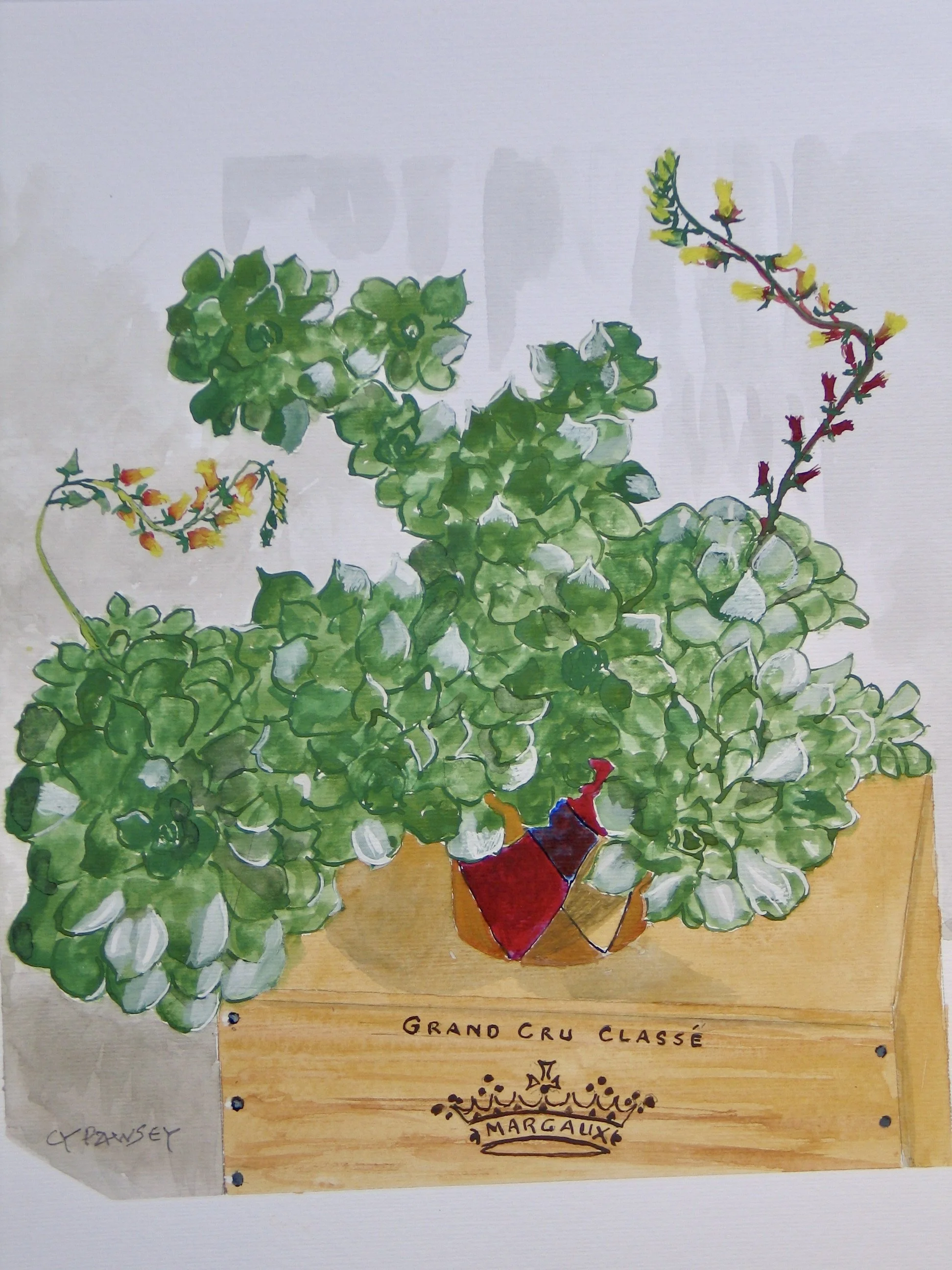 Original gouache painting of a succulent on a wine box