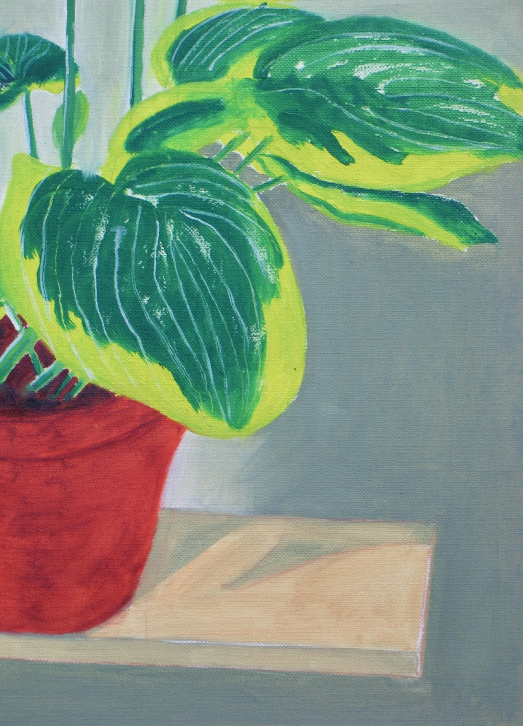 Flowering hosta,  detail at galeriecy.com