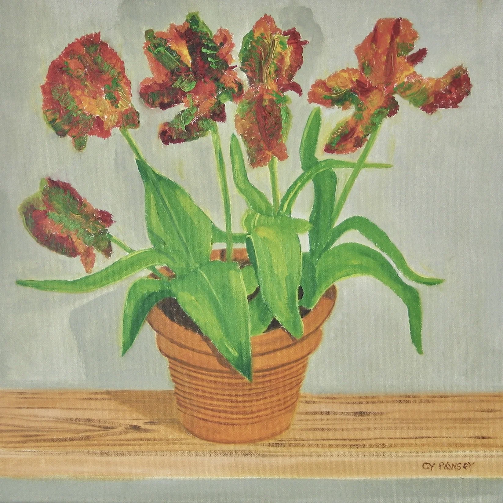 Original oil painting of specialist tulips by Cy Pawsey