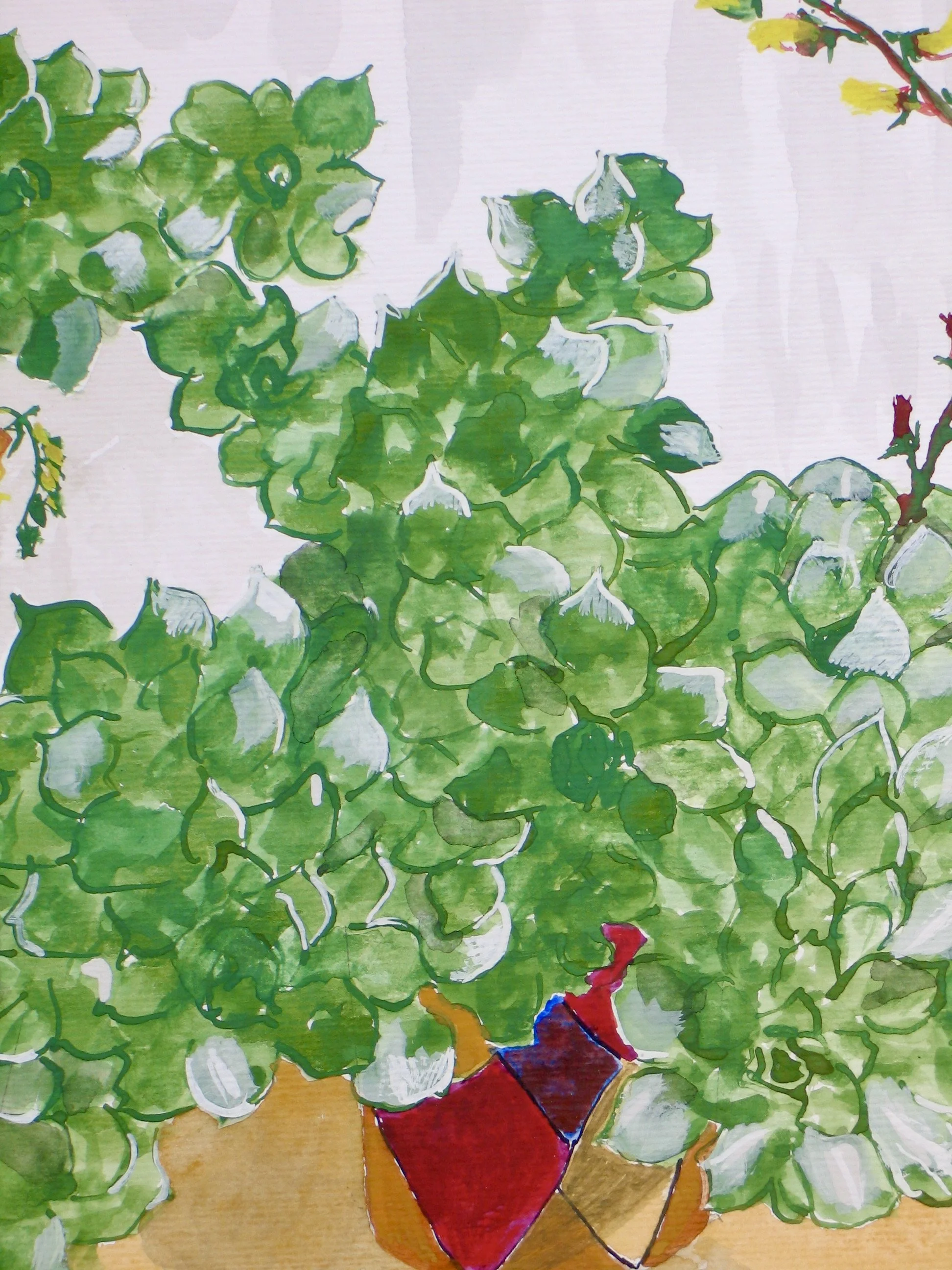 Succulent painting in gouache, detail