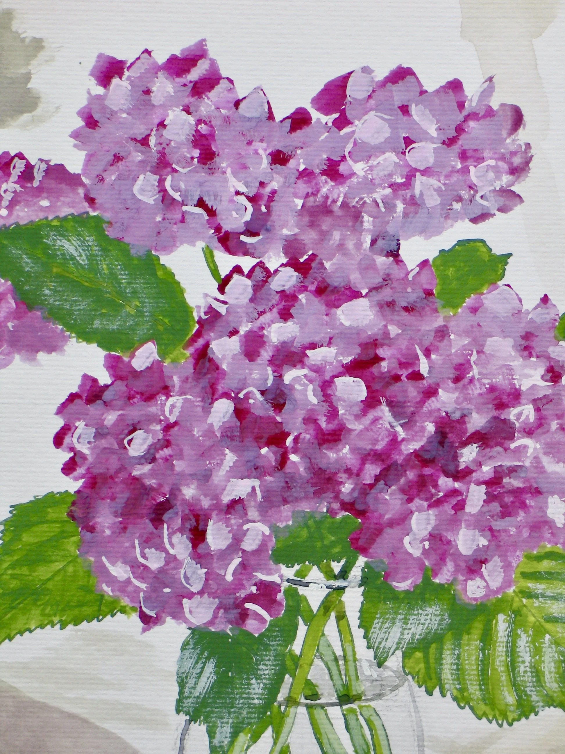Hydrangea flowers, detail from original painting by Cy Pawsey