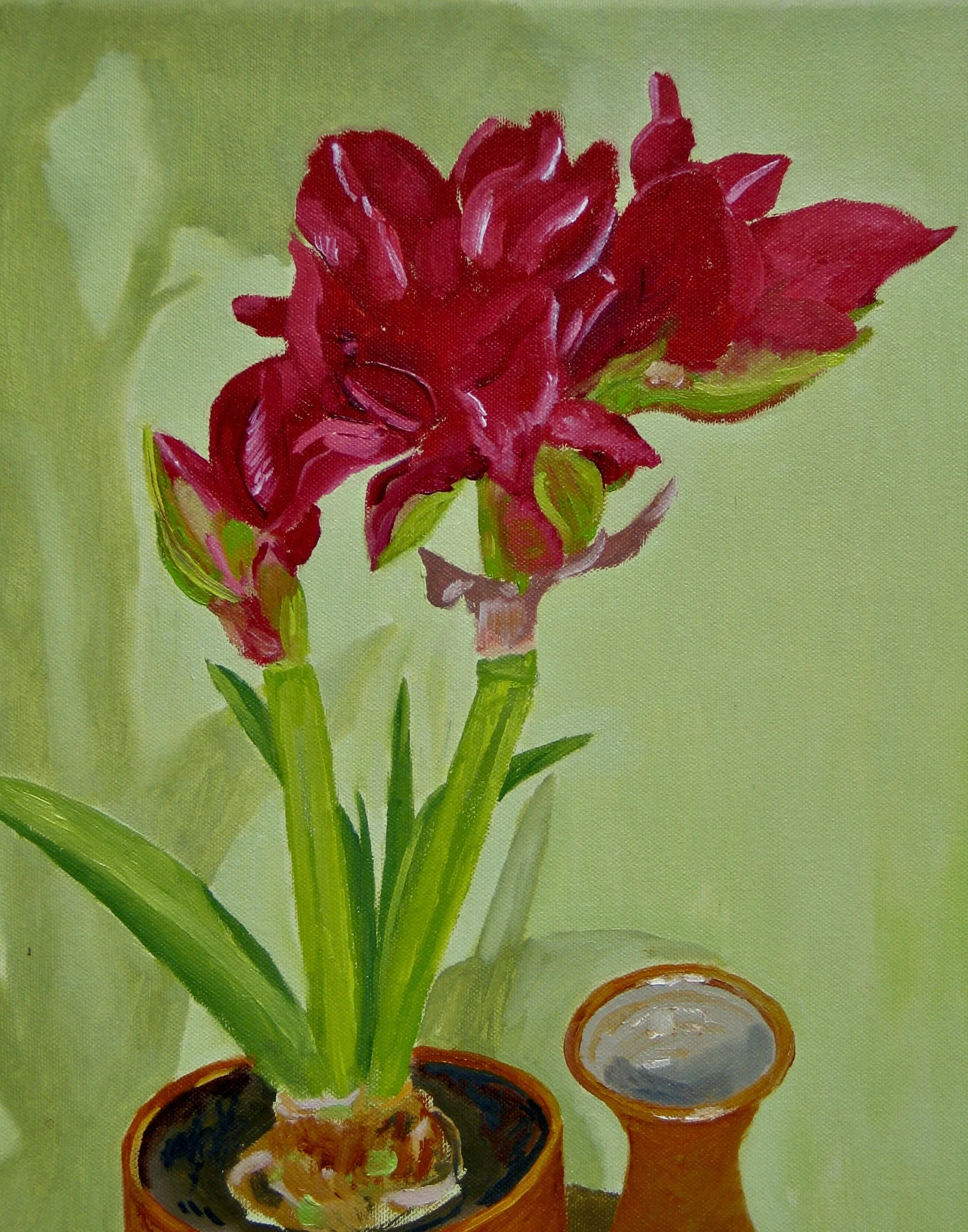 Red amaryllis oil painting, detail