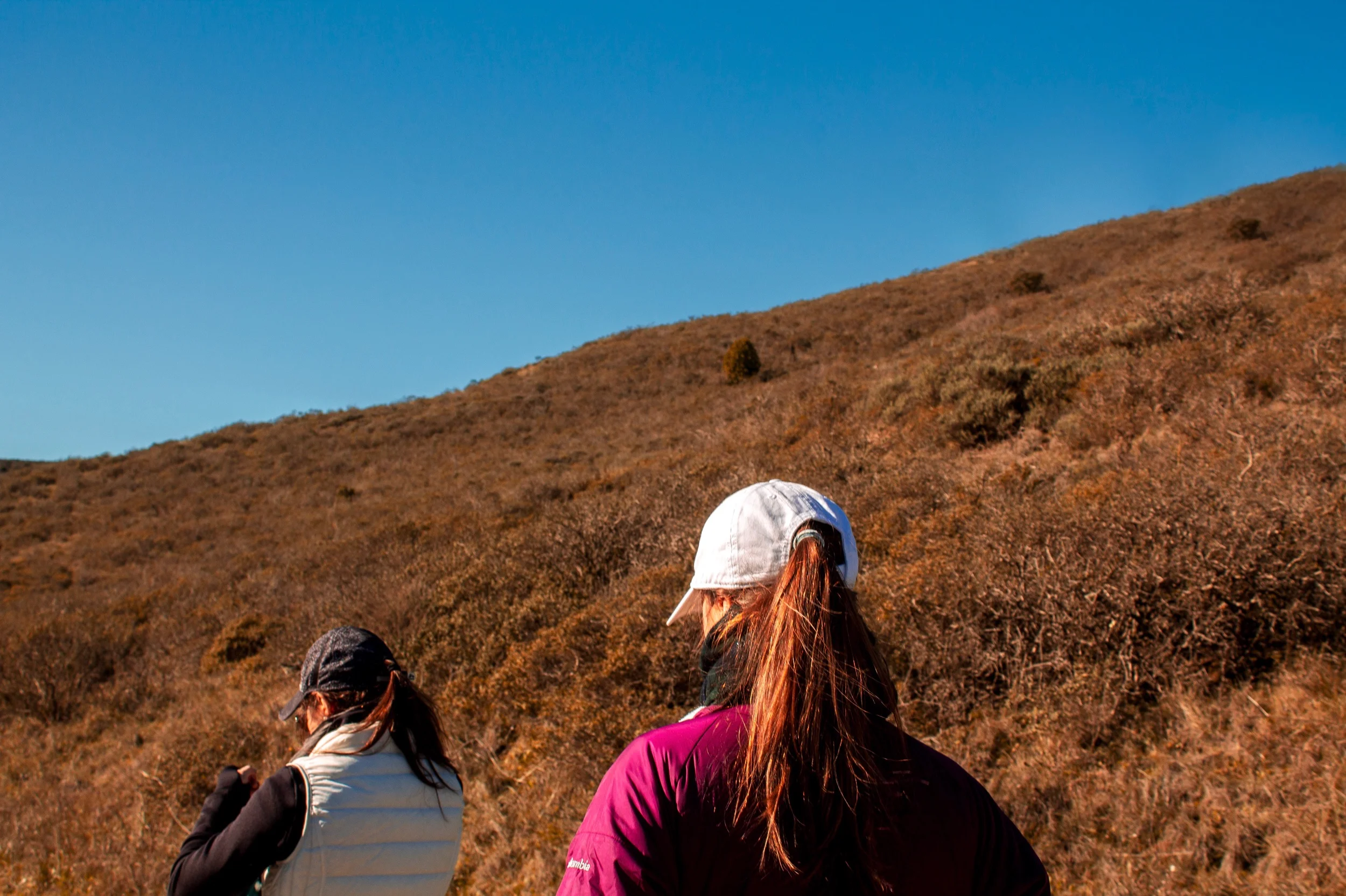 Notes From the West Coast | San Francisco, CA