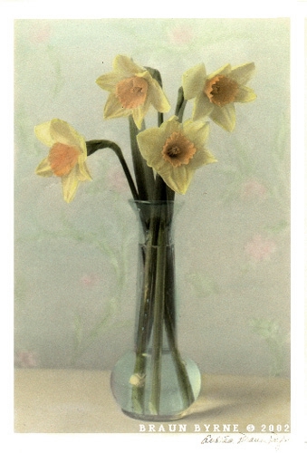 Four Jonquils