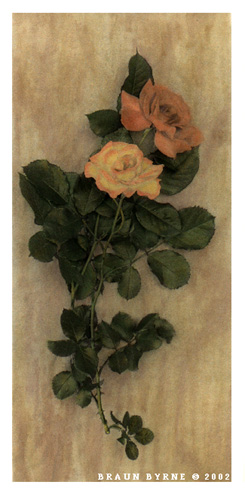 LongDoubleRoses.jpg