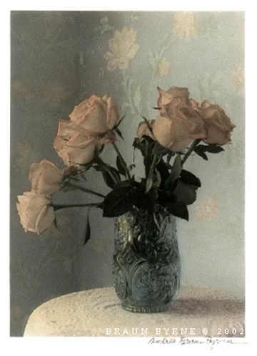 SevenRoses.jpg