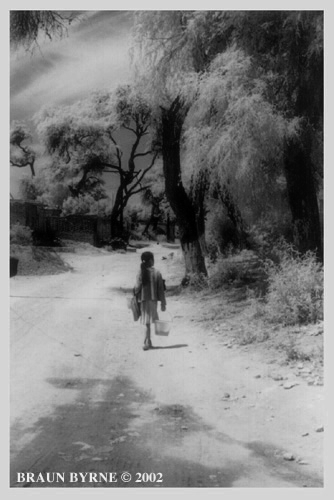 RoadwithTreesandChild.jpg