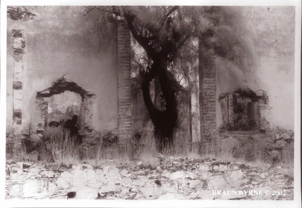 RuinswithTree.jpg