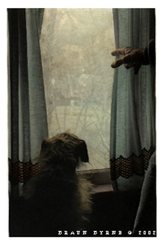 AlfAtTheWindow.jpg