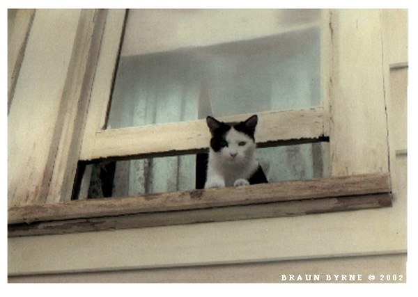 CupcakeInOpenBackWindow.jpg