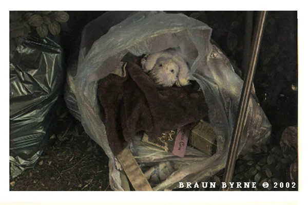 DiscardedStuffedToy.jpg