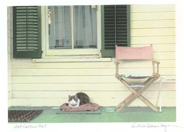 porchcat.jpg