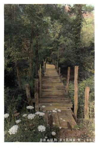 WoodenFootBridgeFlowers.jpg