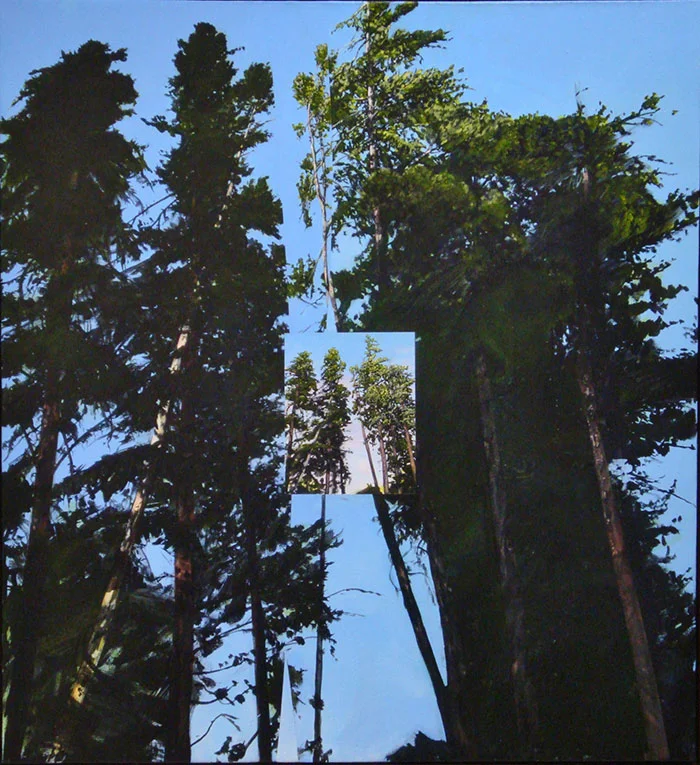Burke-Boreal.jpg