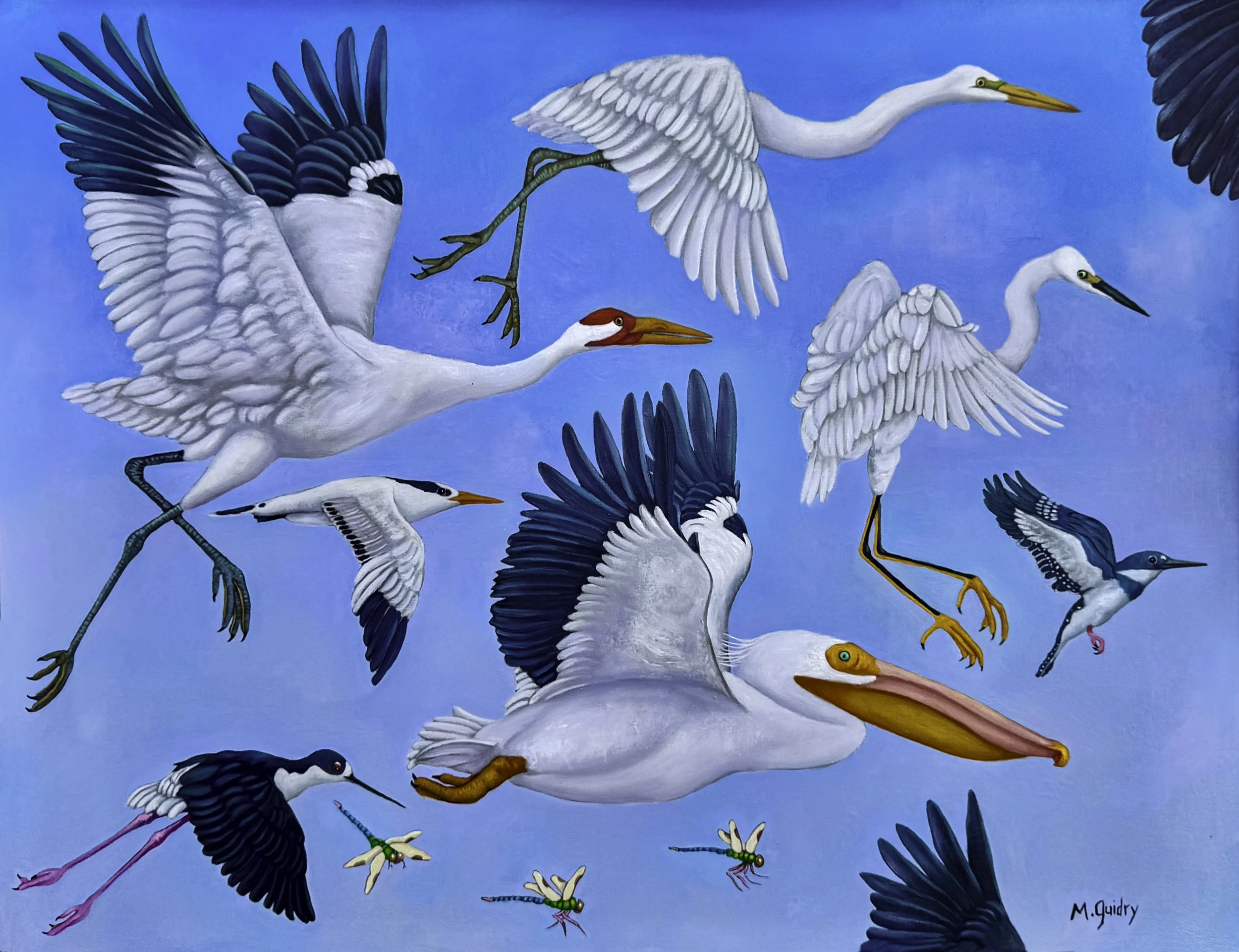 birds in flight.jpg