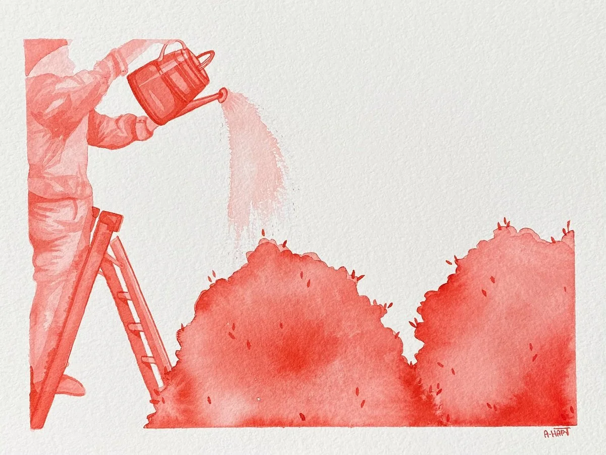 Wateringthegardeninkwash.jpg