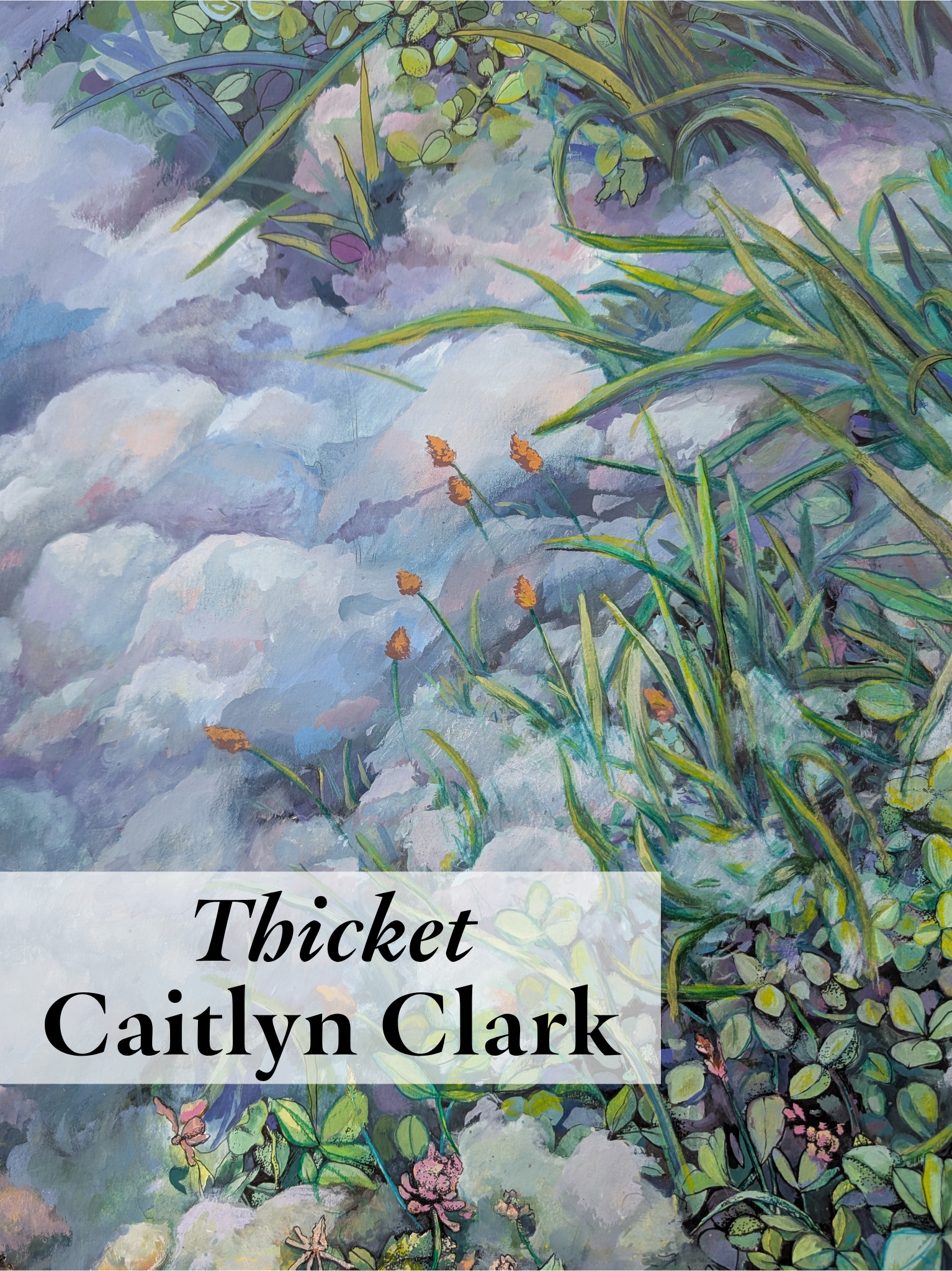 thicket ad.png