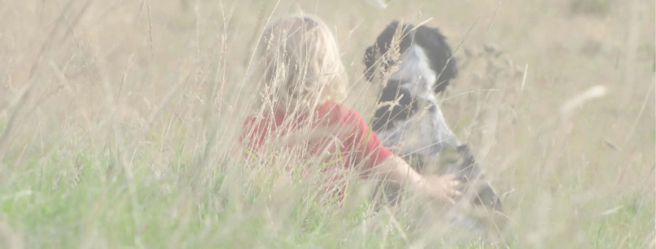 Best Mate Dog Training TreatFree Training NZ & AU