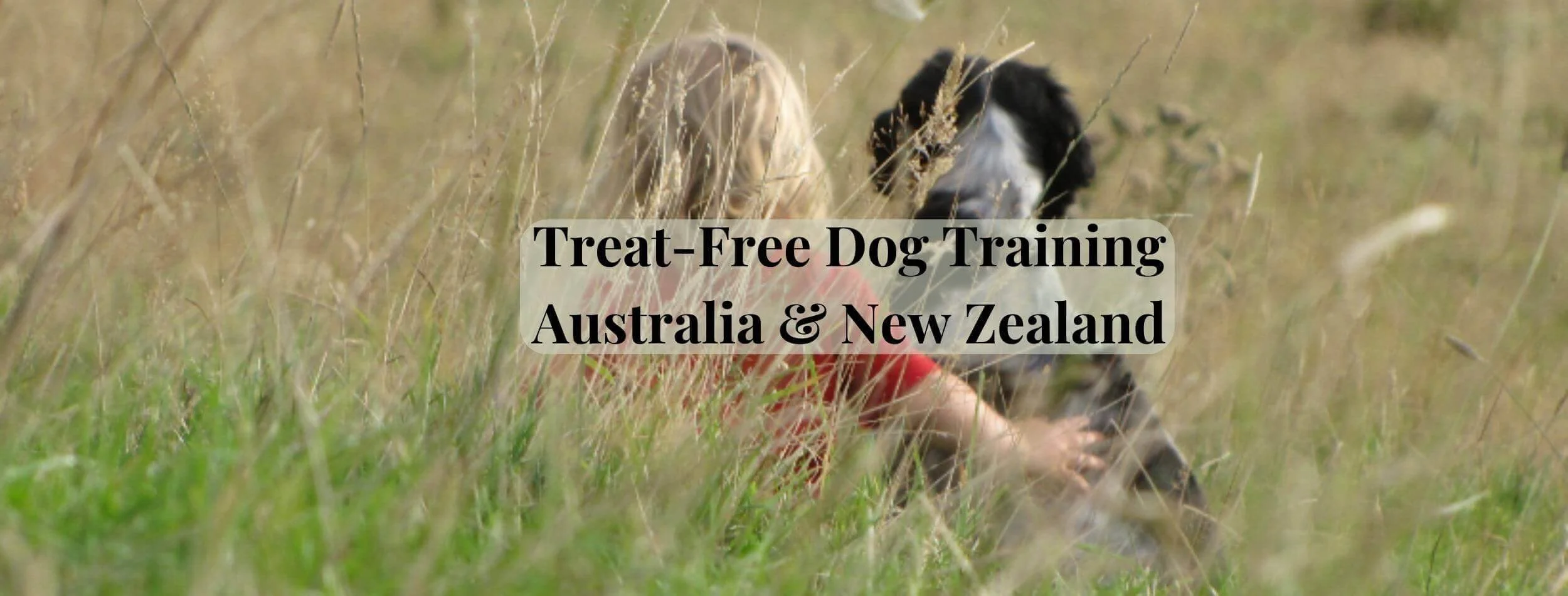 Training German Shepherds A Realistic, Honest GSD Training Guide