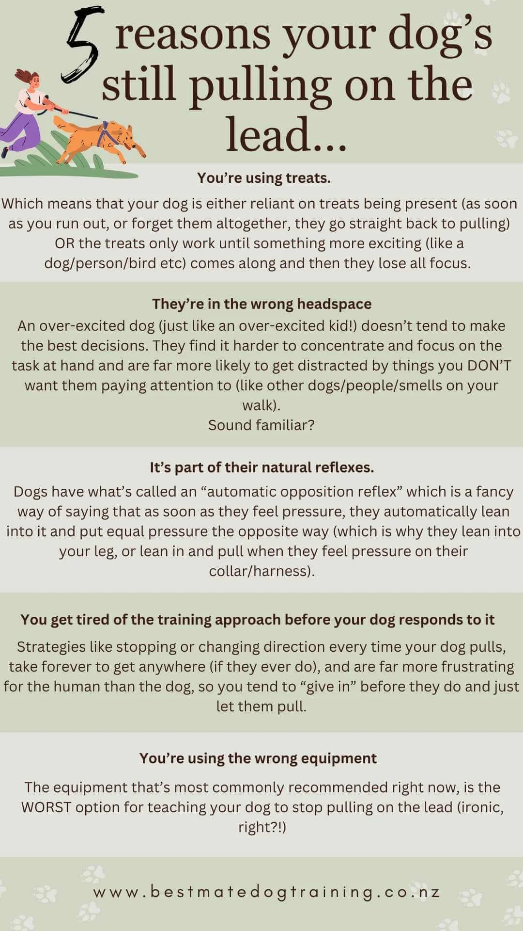 leads to stop my dog pulling