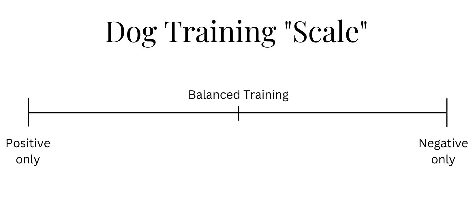 What Is Balanced Dog Training