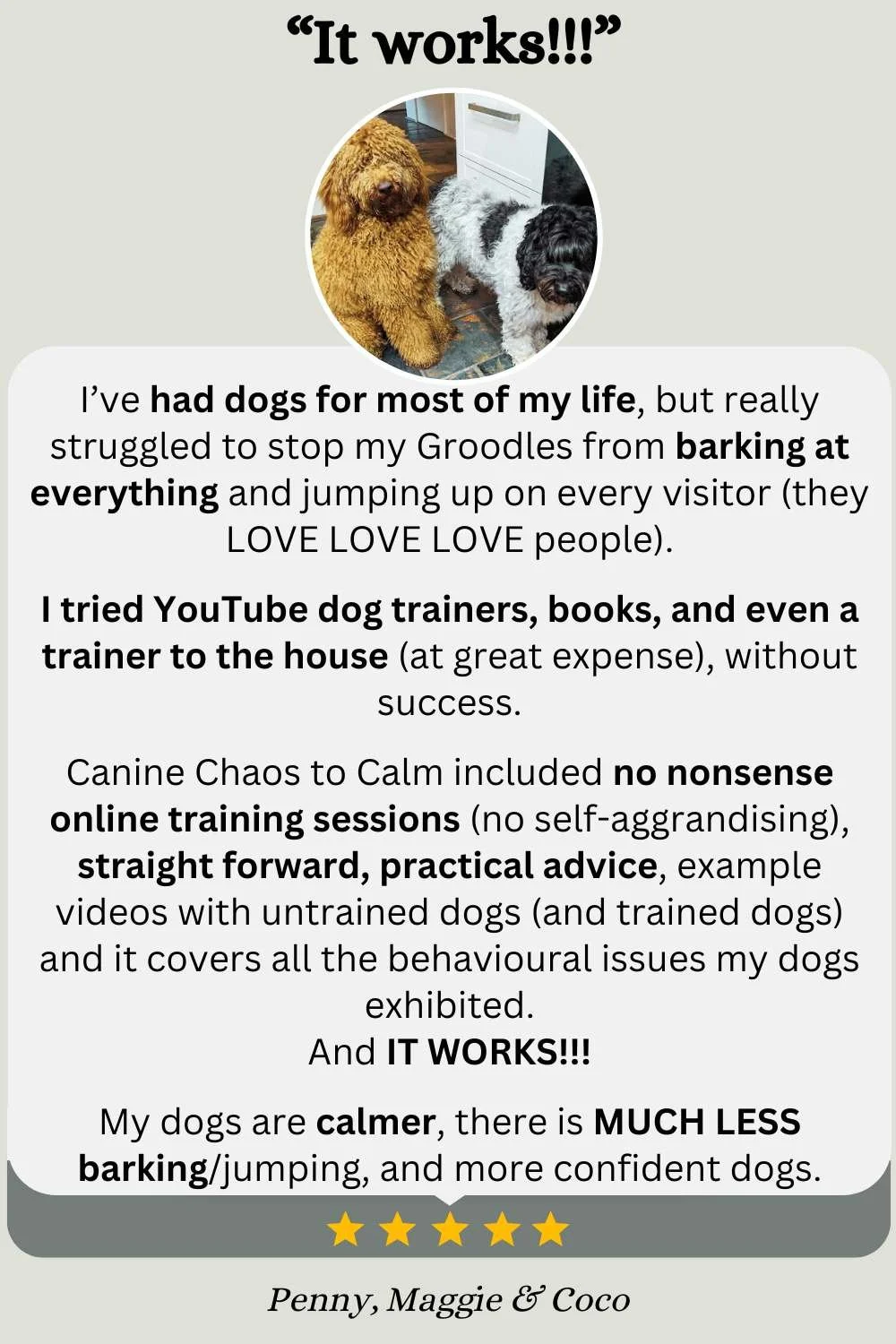 The Benefits Of Stopping Dog Barking preview
