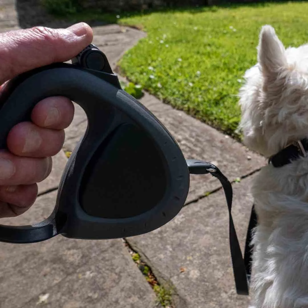 Retractable Leash Best Leads For Strong Dogs Kong Ultimate