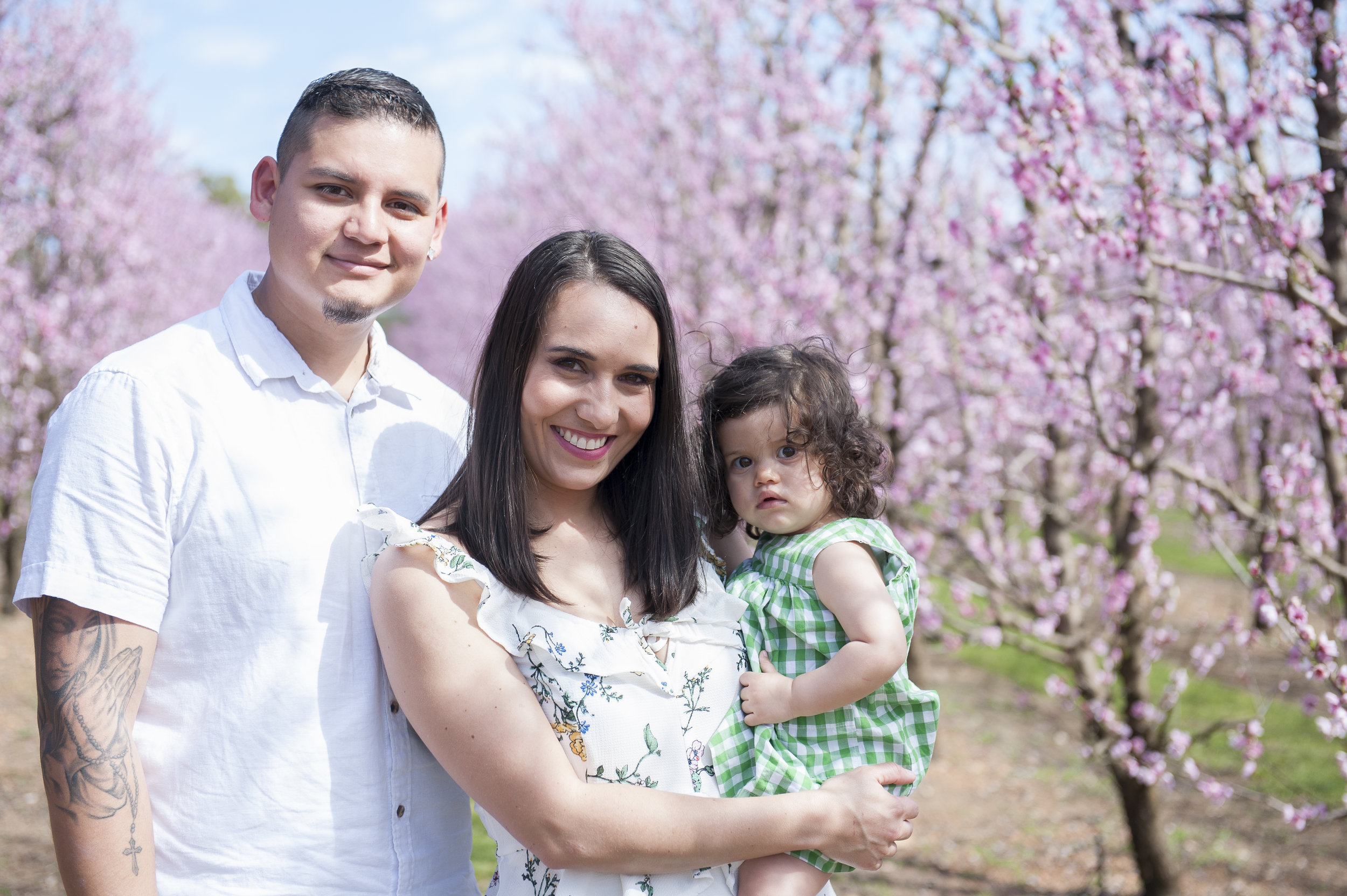 Blossoms-1202.jpg