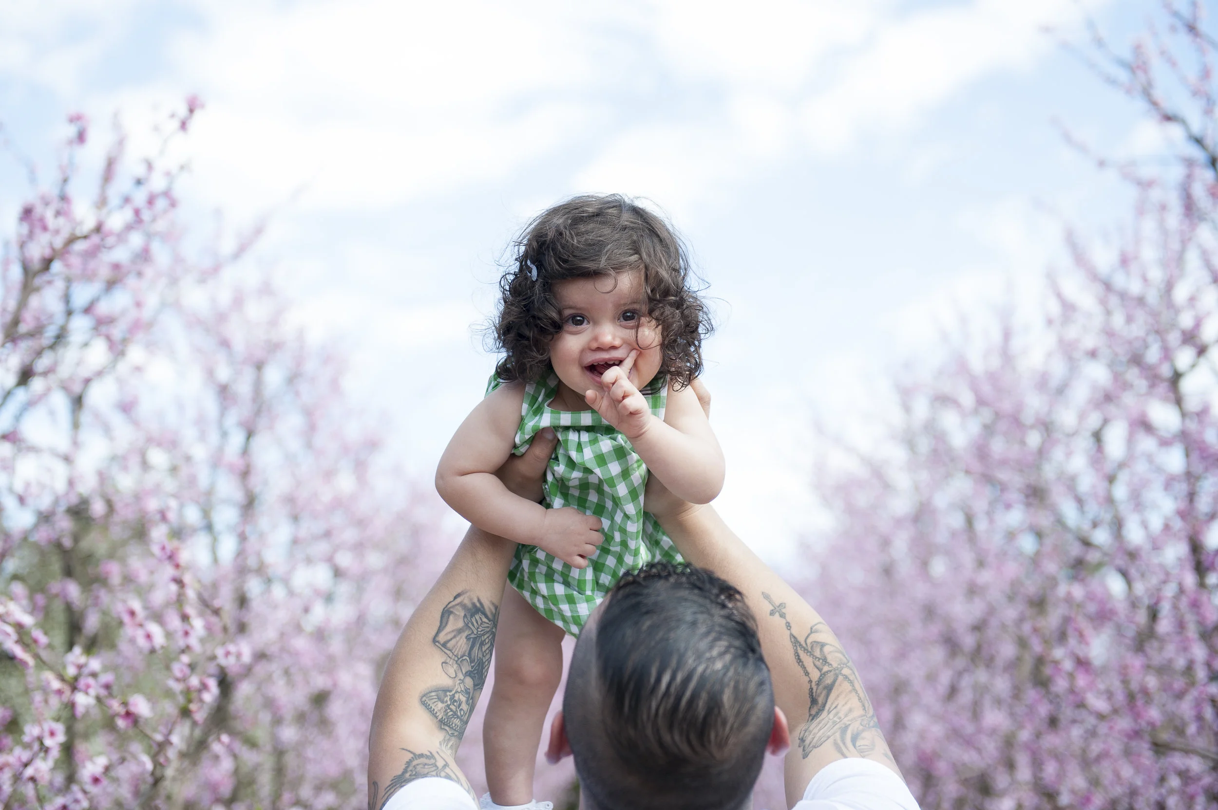 Blossoms-1401.jpg