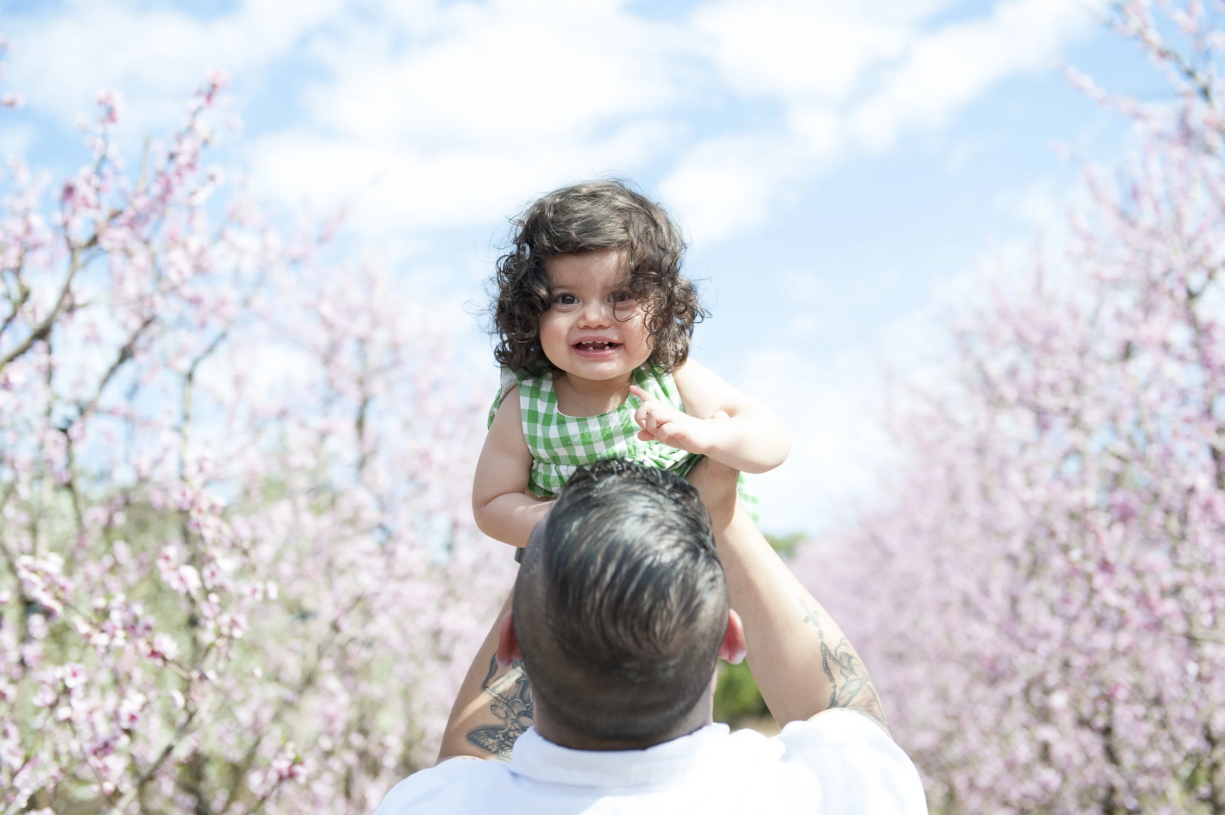 Blossoms-1419.jpg