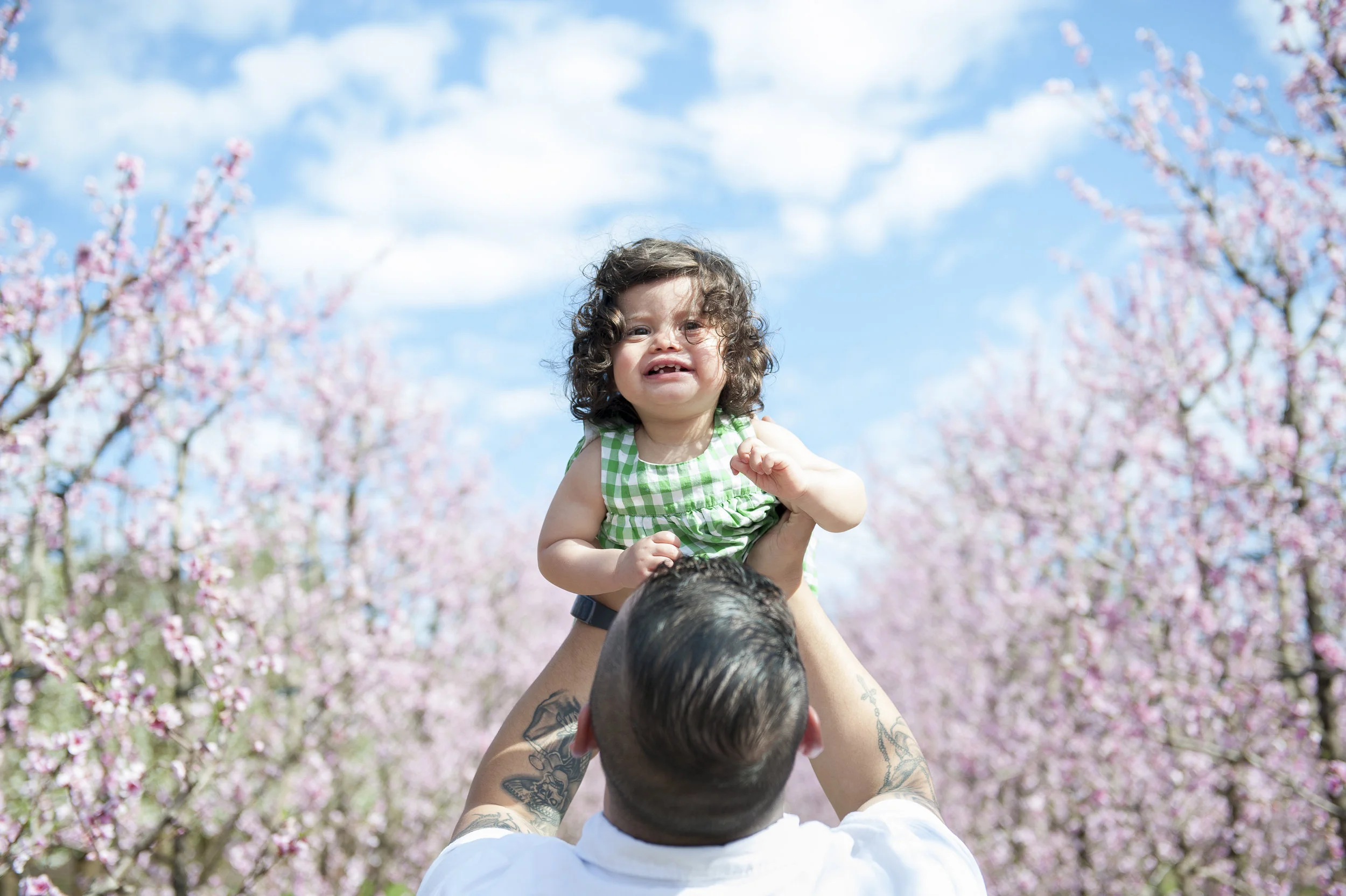 Blossoms-1421.jpg