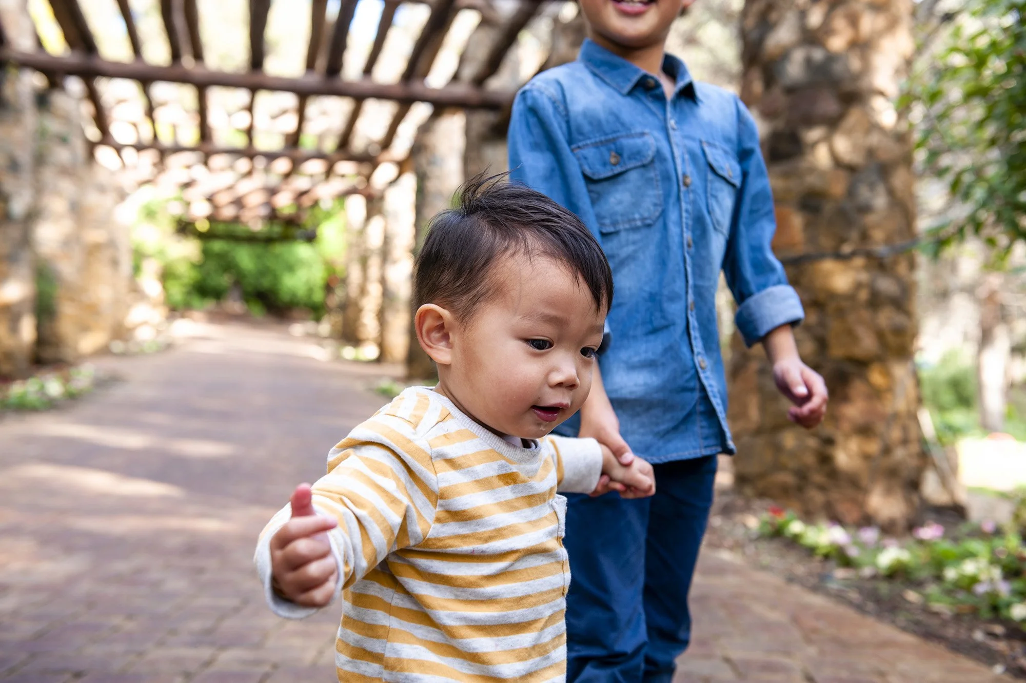 Araluen Botanical Garden Family Portraits Chapter Capture Photography 6.jpg